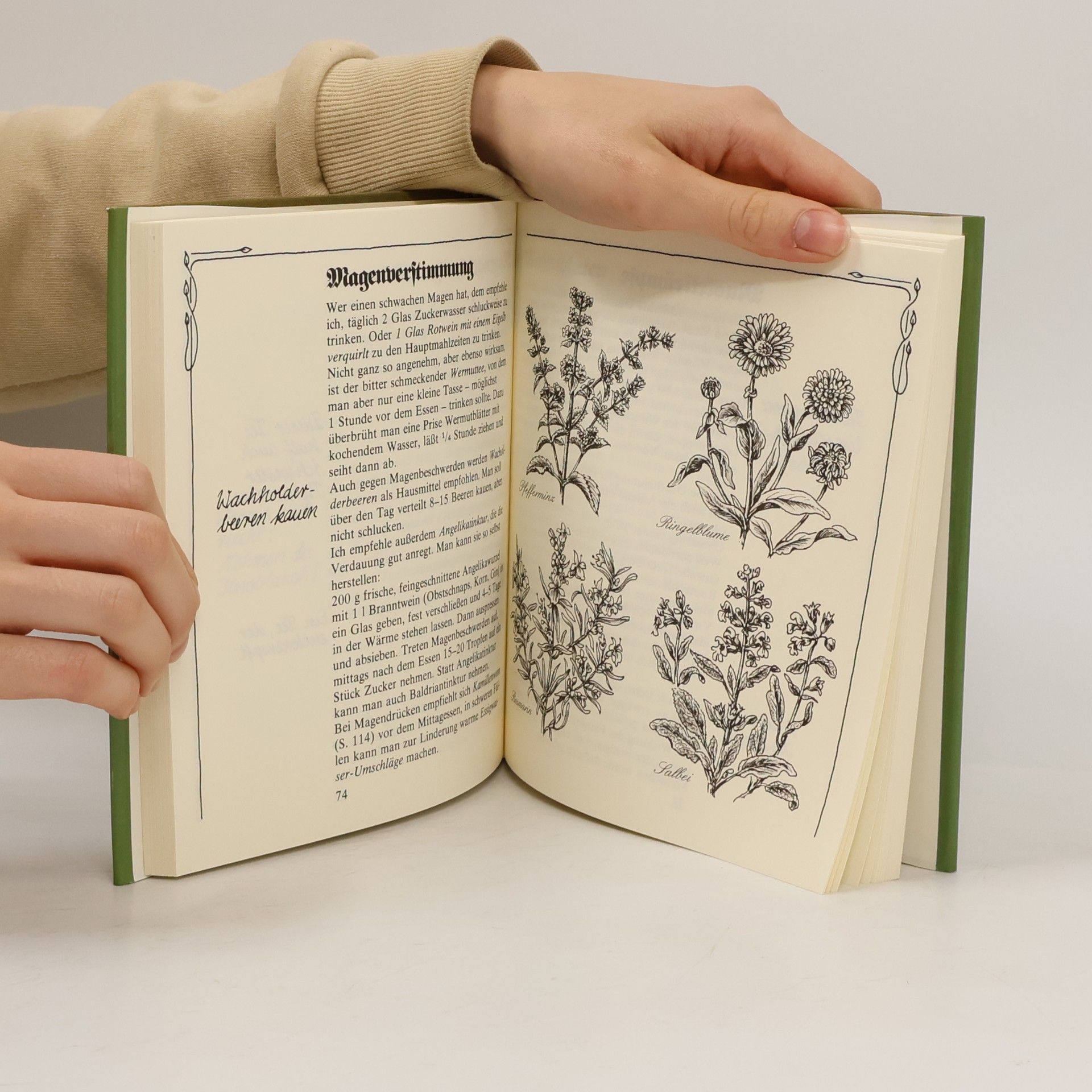 Bernardine Schwester Bernardines Heilkräuterbuch