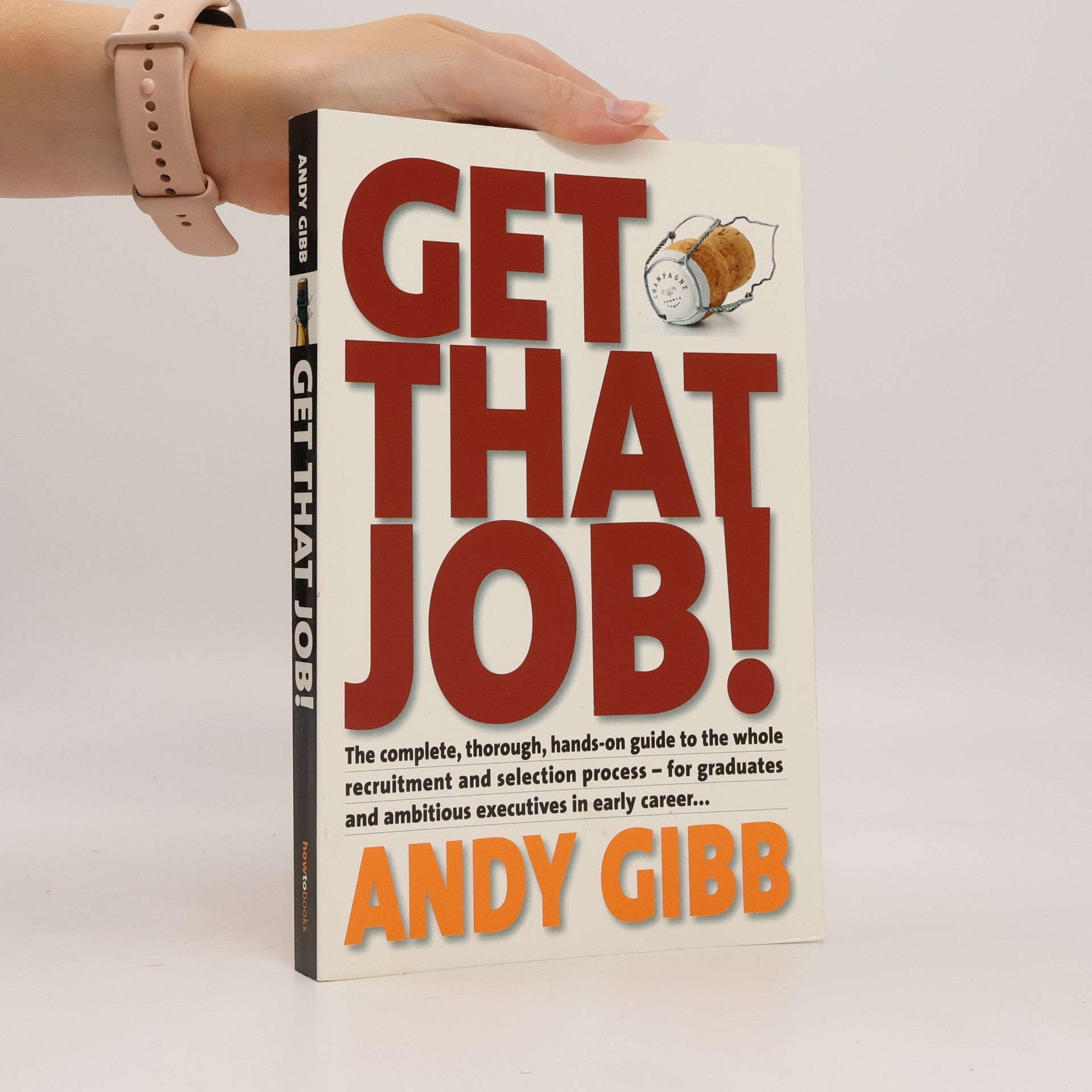 Andy Gibb Get that Job!