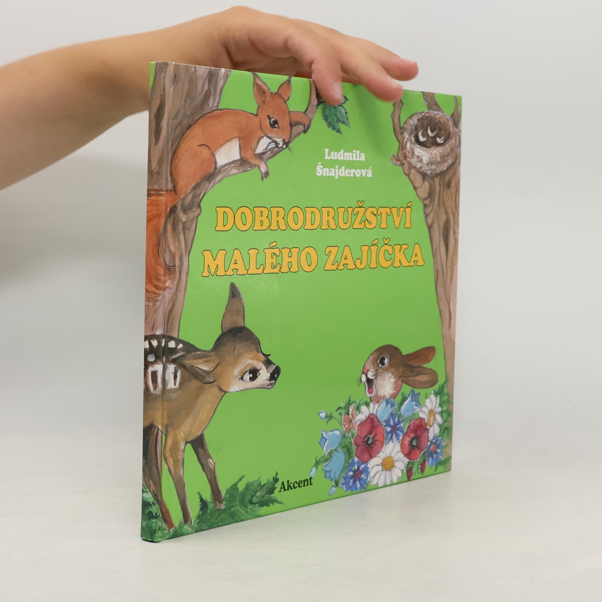 Ludmila Šnajderová Dobrodružství malého zajíčka