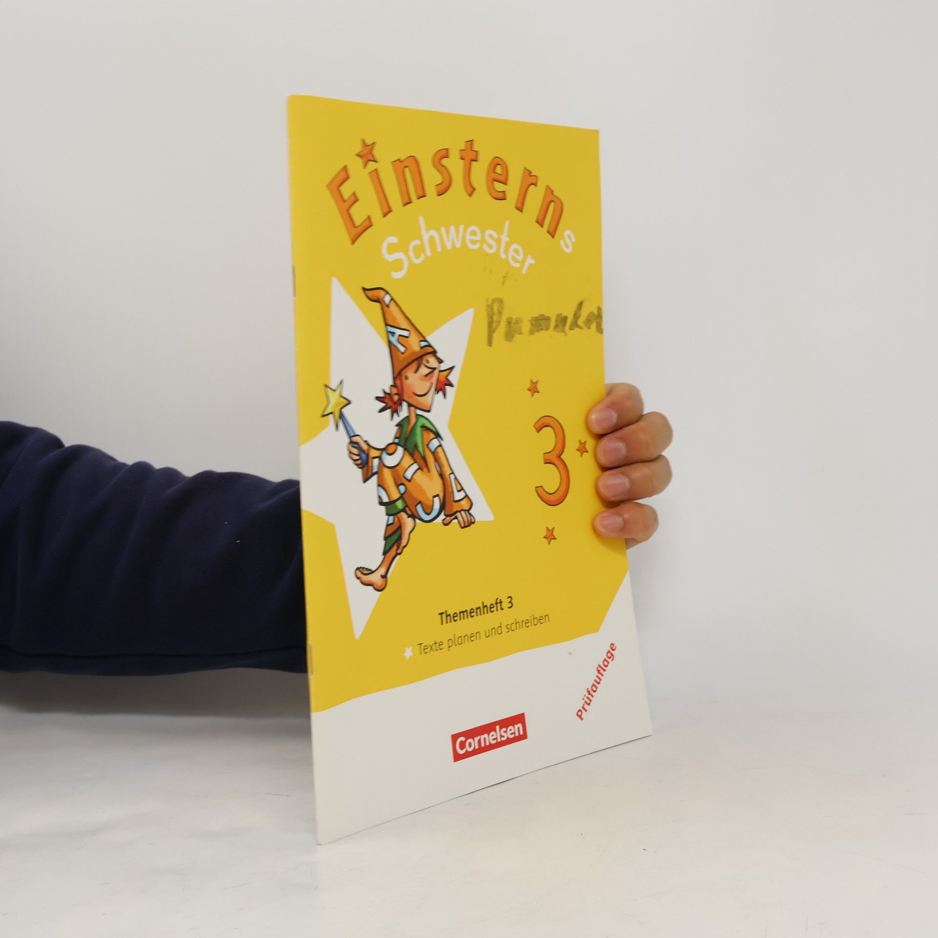 Einsteins Schwester 3
