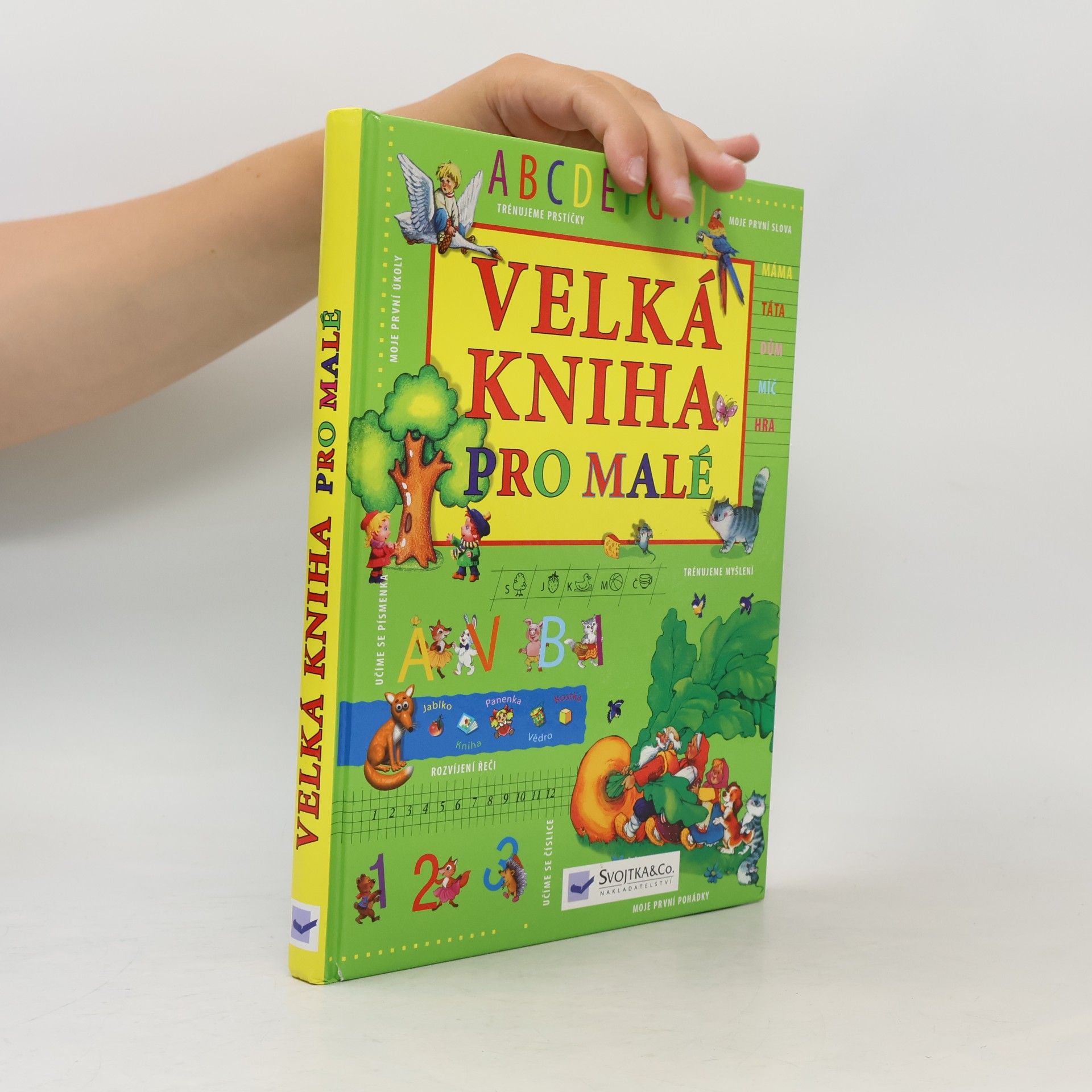 Kolektiv autorů Velká kniha pro malé
