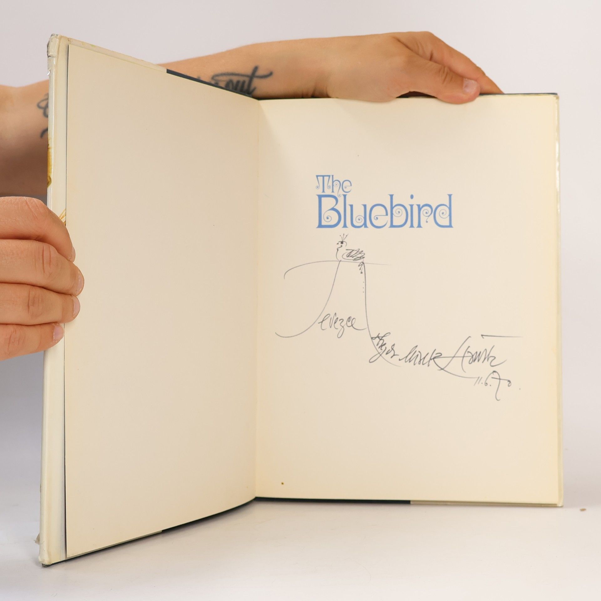 Jan Vladislav The Bluebird