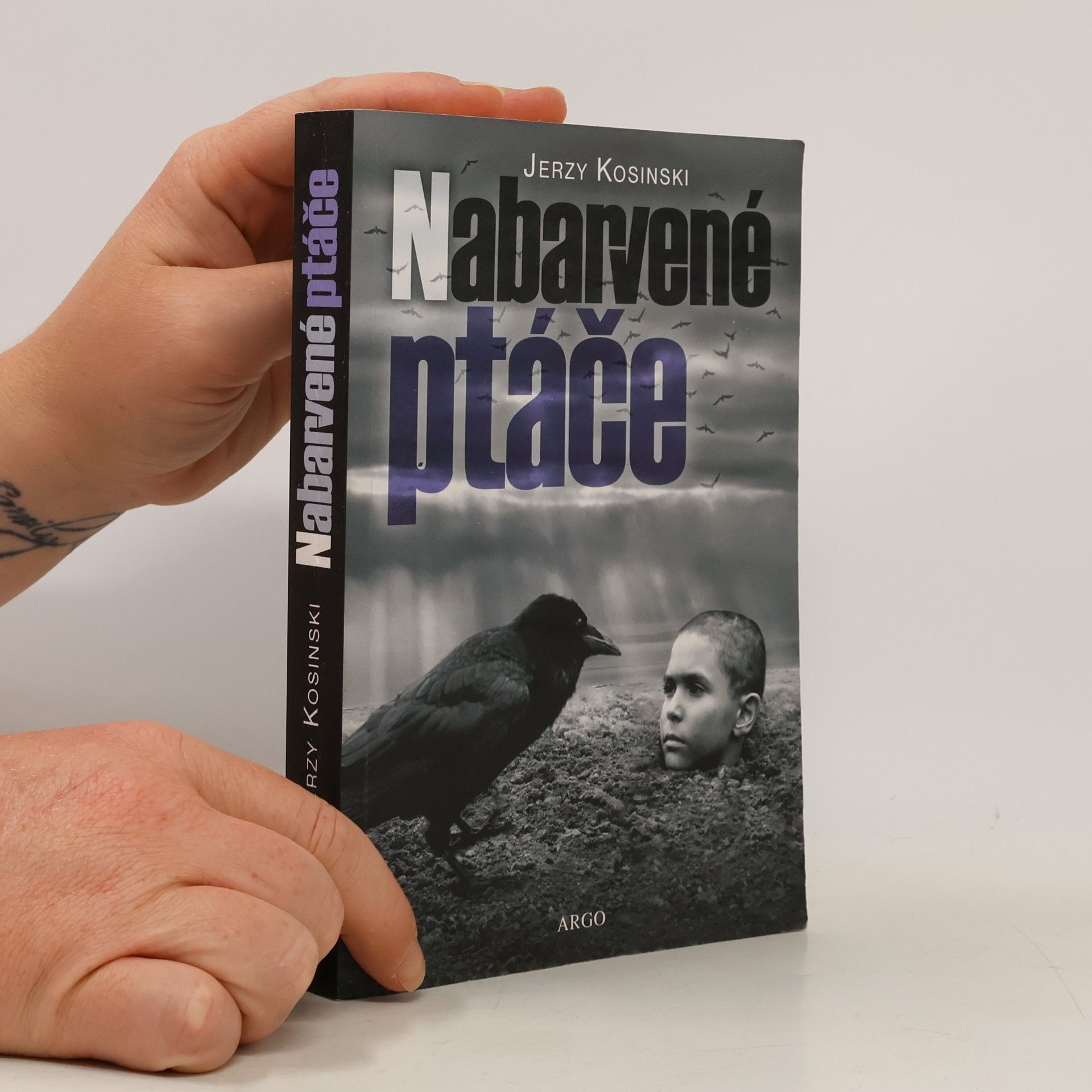 Jerzy Kosiński Nabarvené ptáče