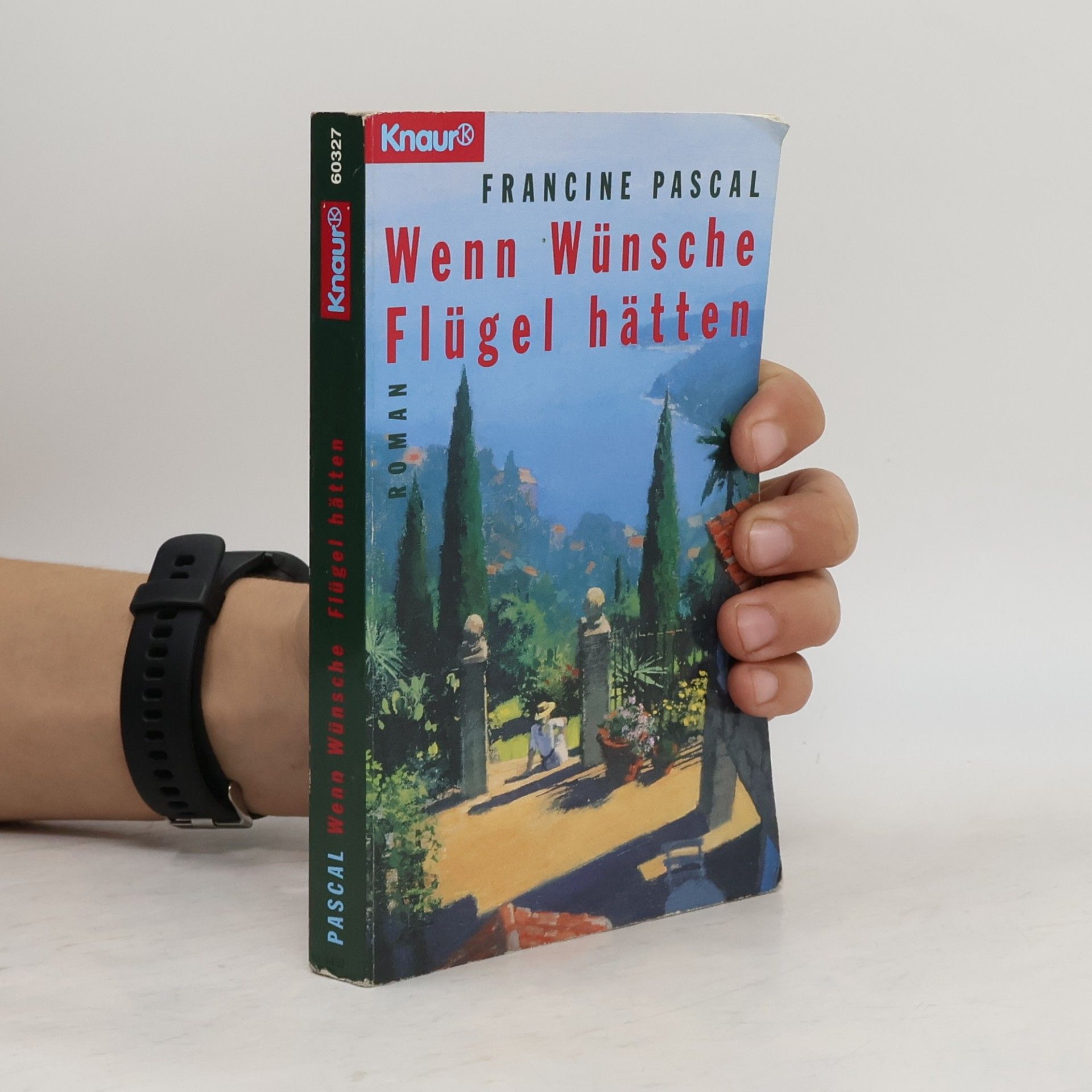 Francine Rubin Pascal Wenn Wünsche Flügel hätten