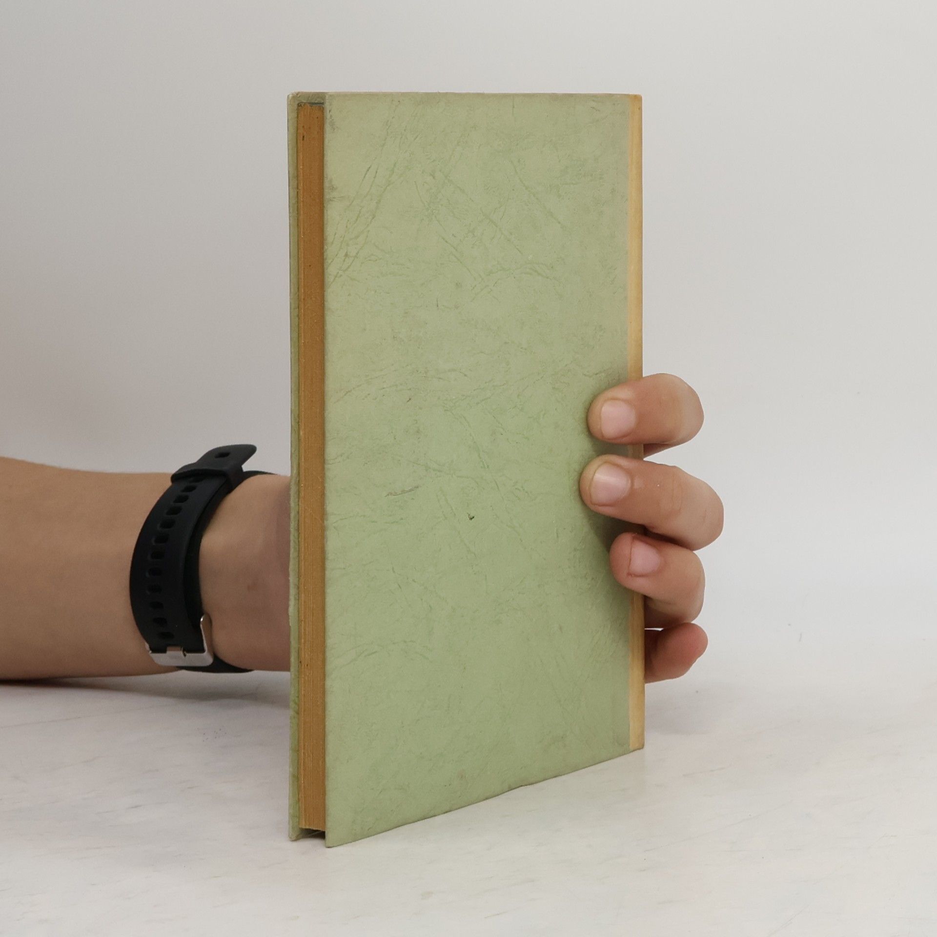 J. R. Becher Romane in Versen