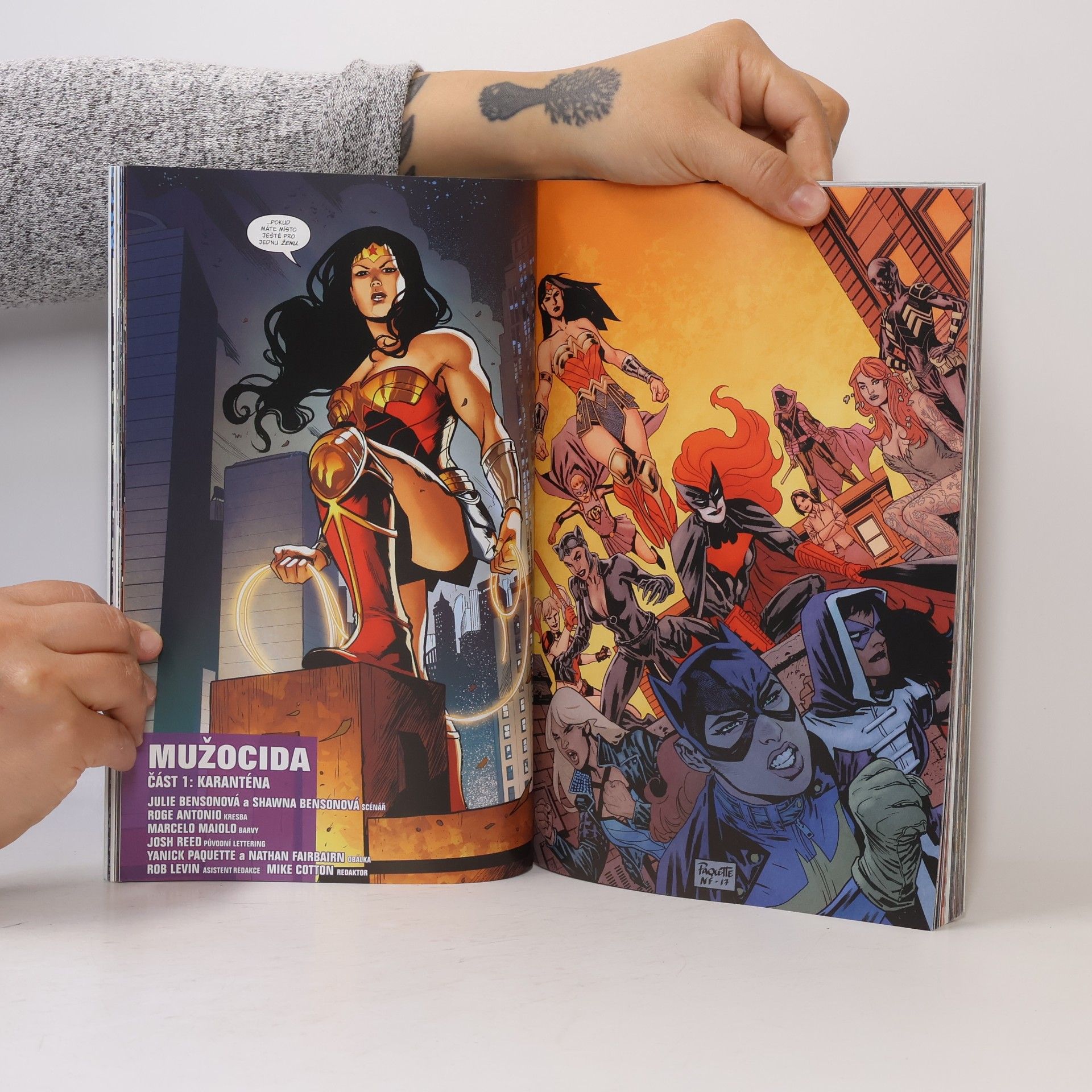 Julie Benson Birds of Prey 3: Kruh se uzavírá