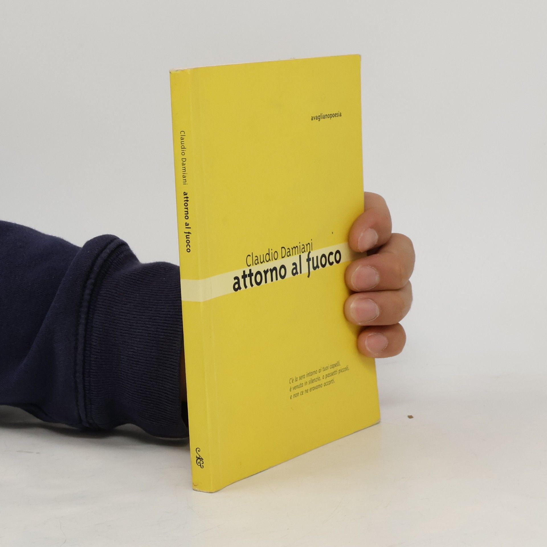 Claudio Damiani avaglianopoesia: Attorno al fuoco