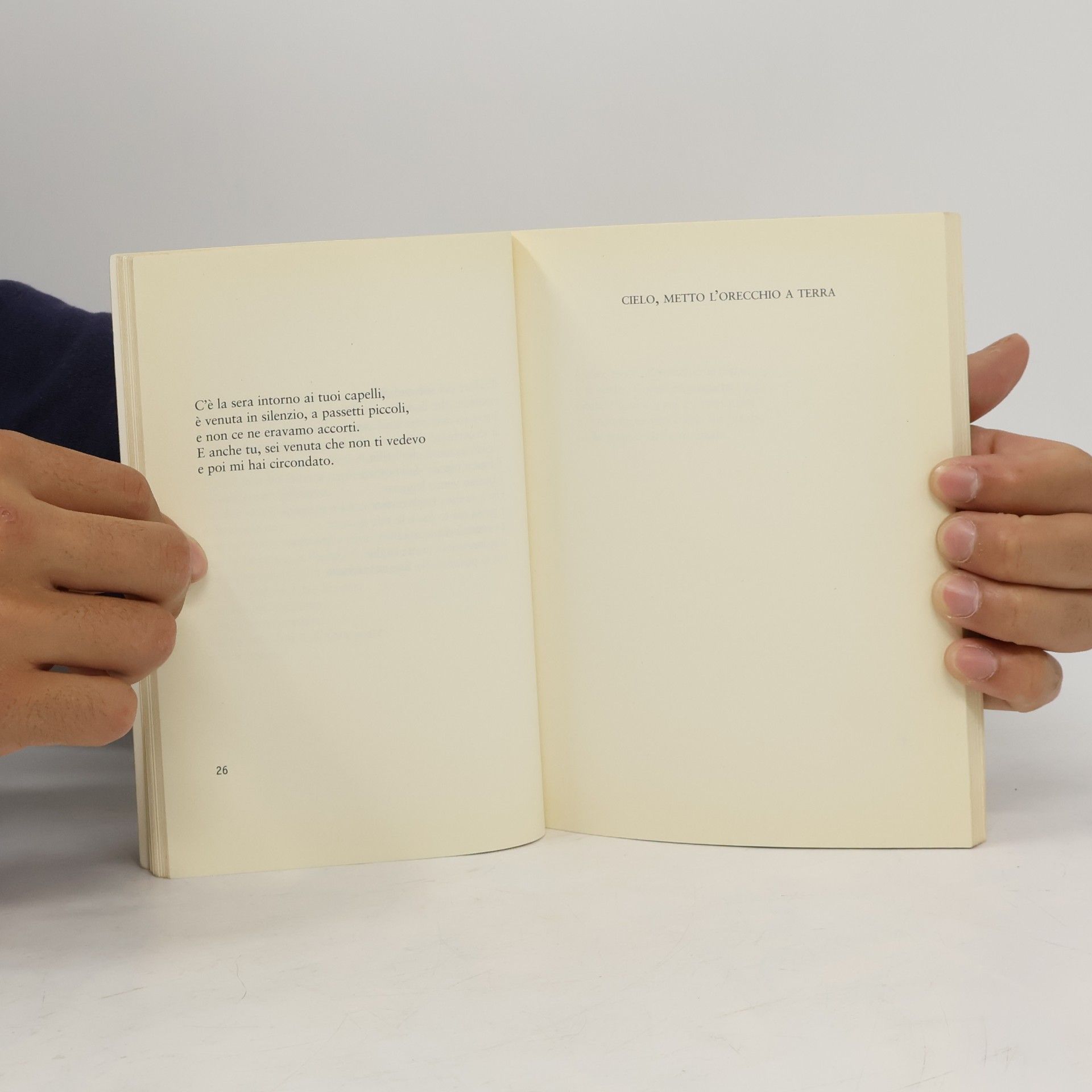 Claudio Damiani avaglianopoesia: Attorno al fuoco