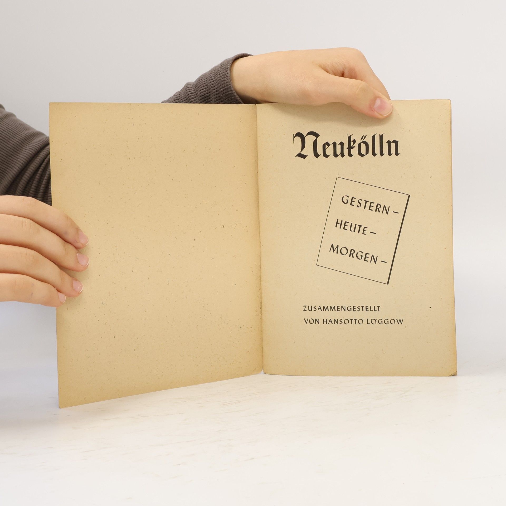 Hansotto Loggow NEUKÖLLN