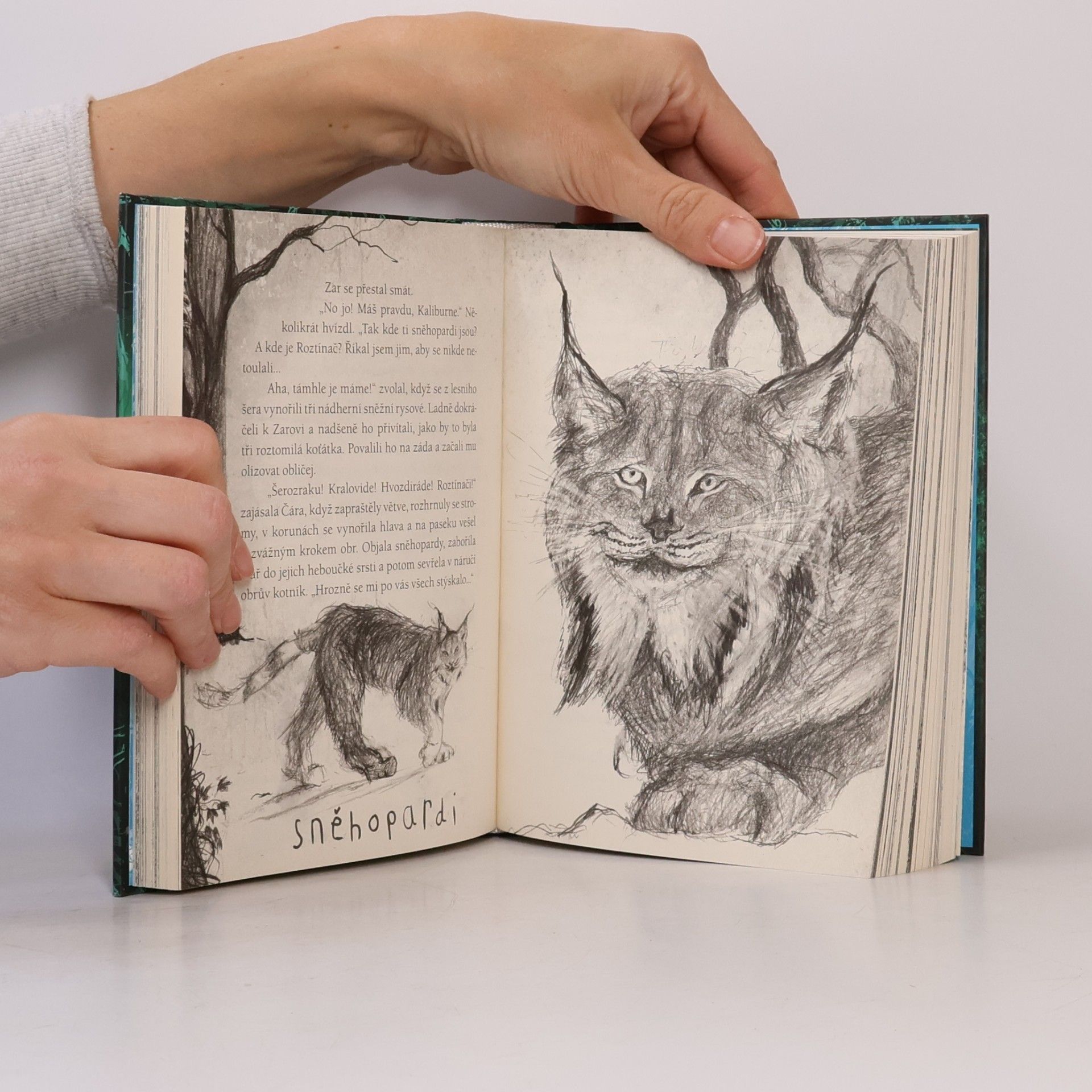 Cressida Cowell Kouzlo druhé šance