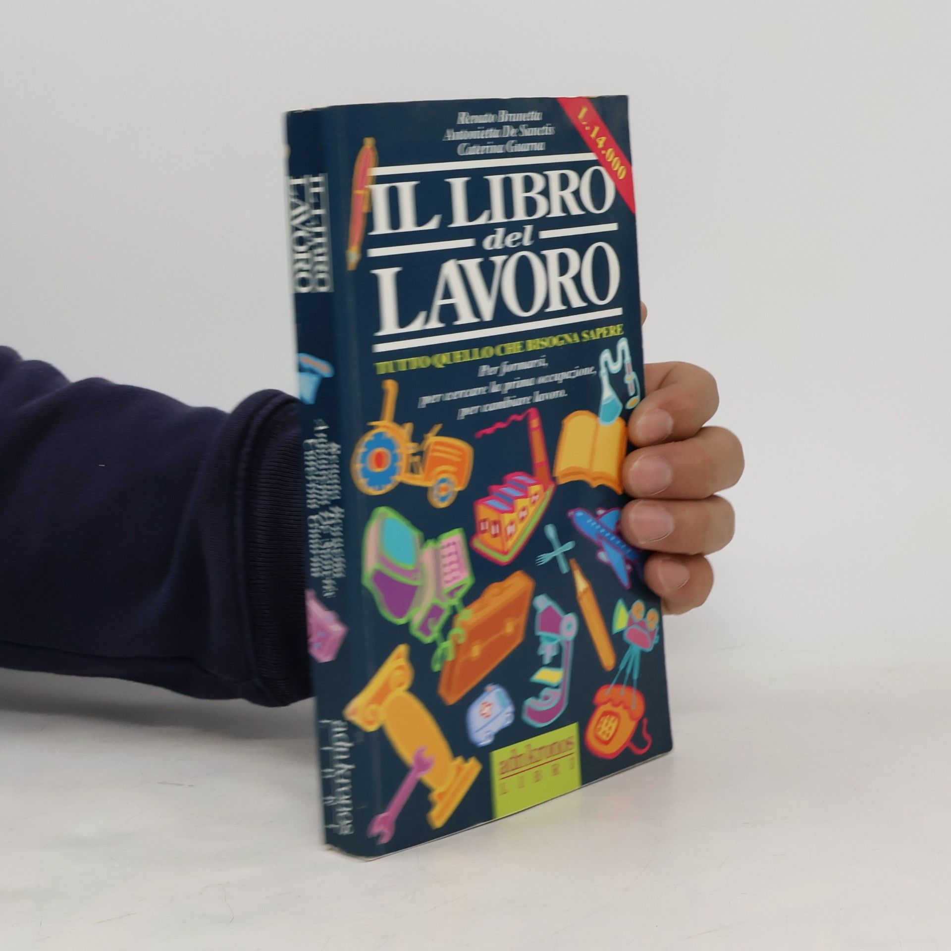Antonietta De Sanctis I supplementi del Libro dei fatti: Il libro del lavoro. Tutto quello che bisogna sapere per formarsi, per cercare la prima occupazione, per cambiare lavoro