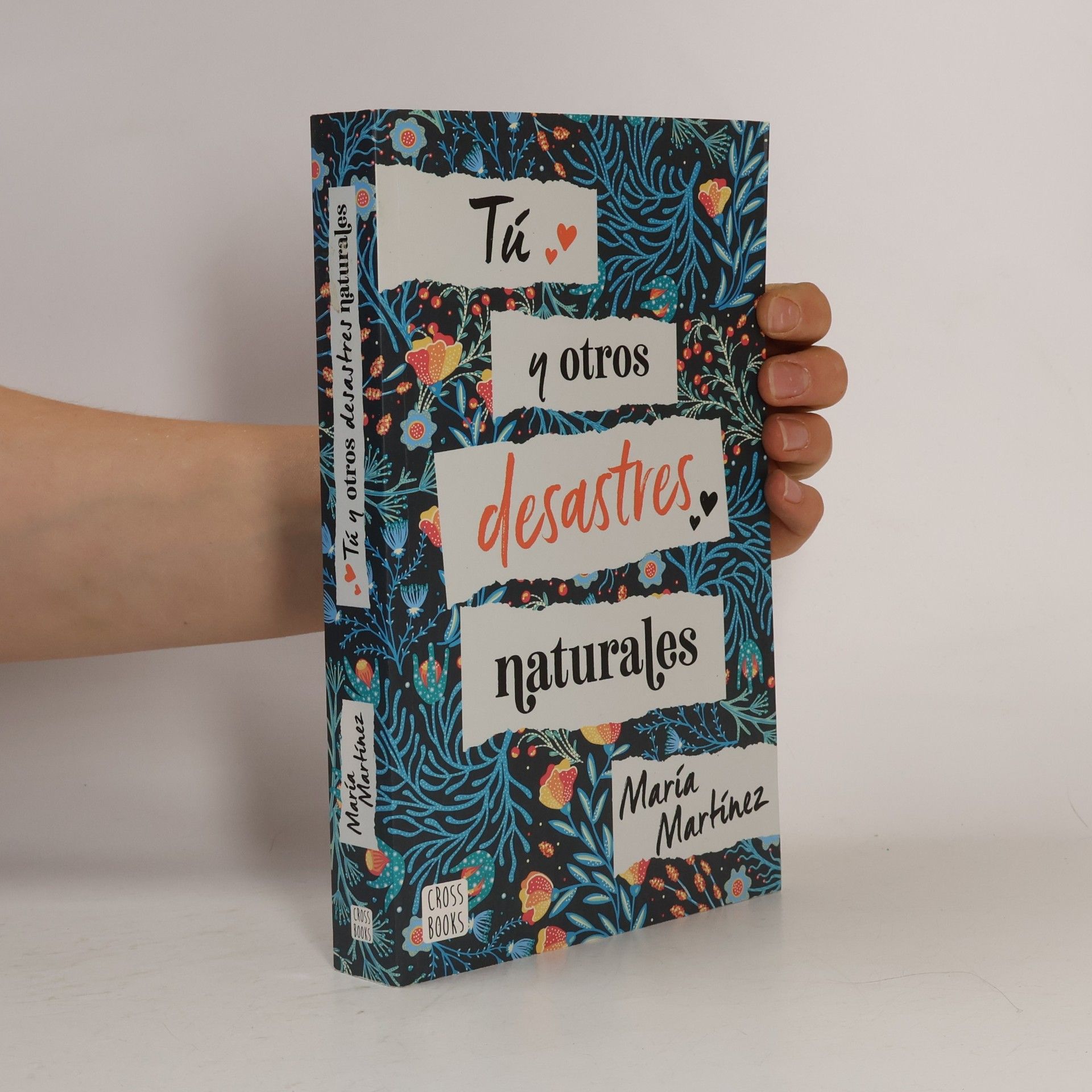 Maria Martinez Tú y otros desastres naturales