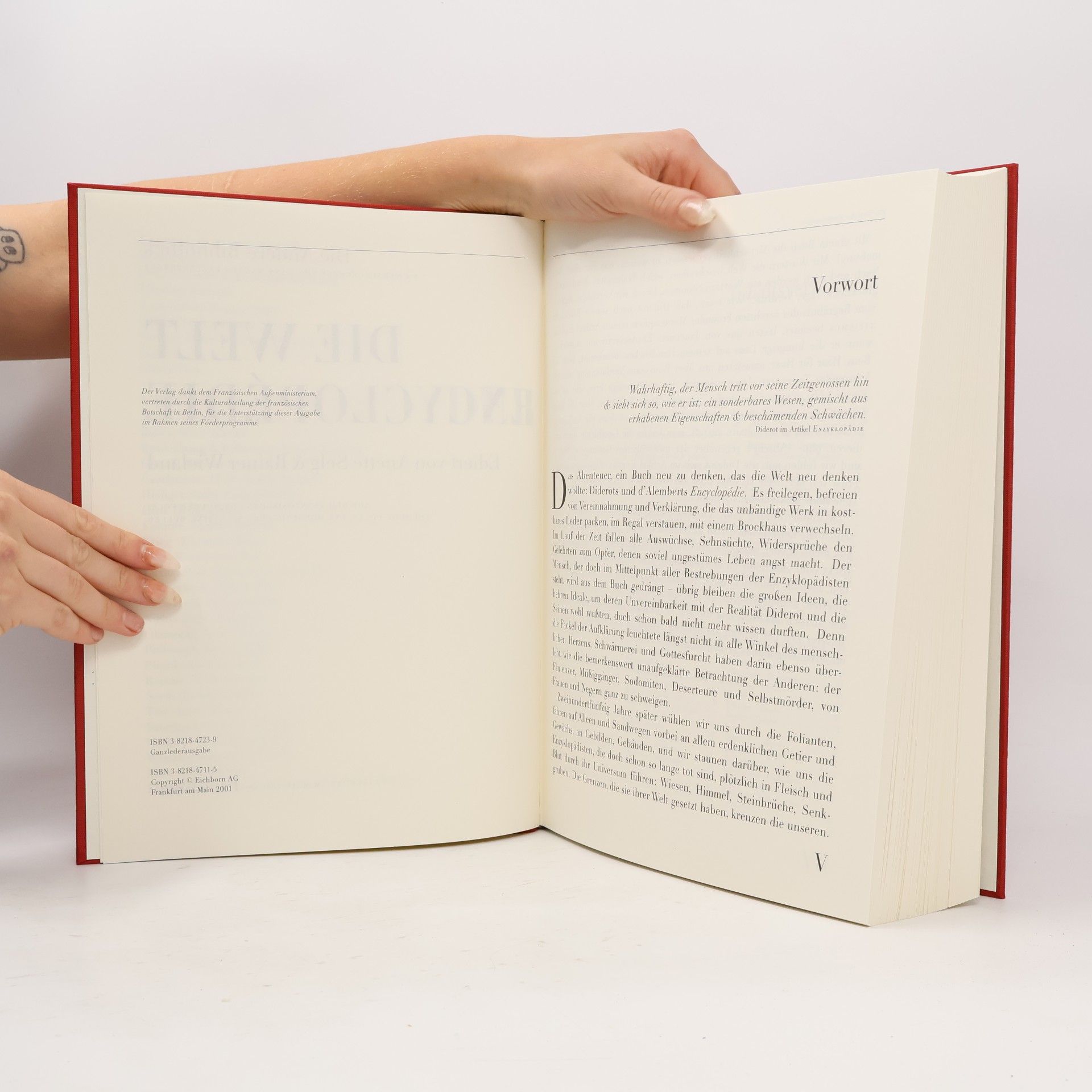 Anette Selg Die Welt der Encyclopédie