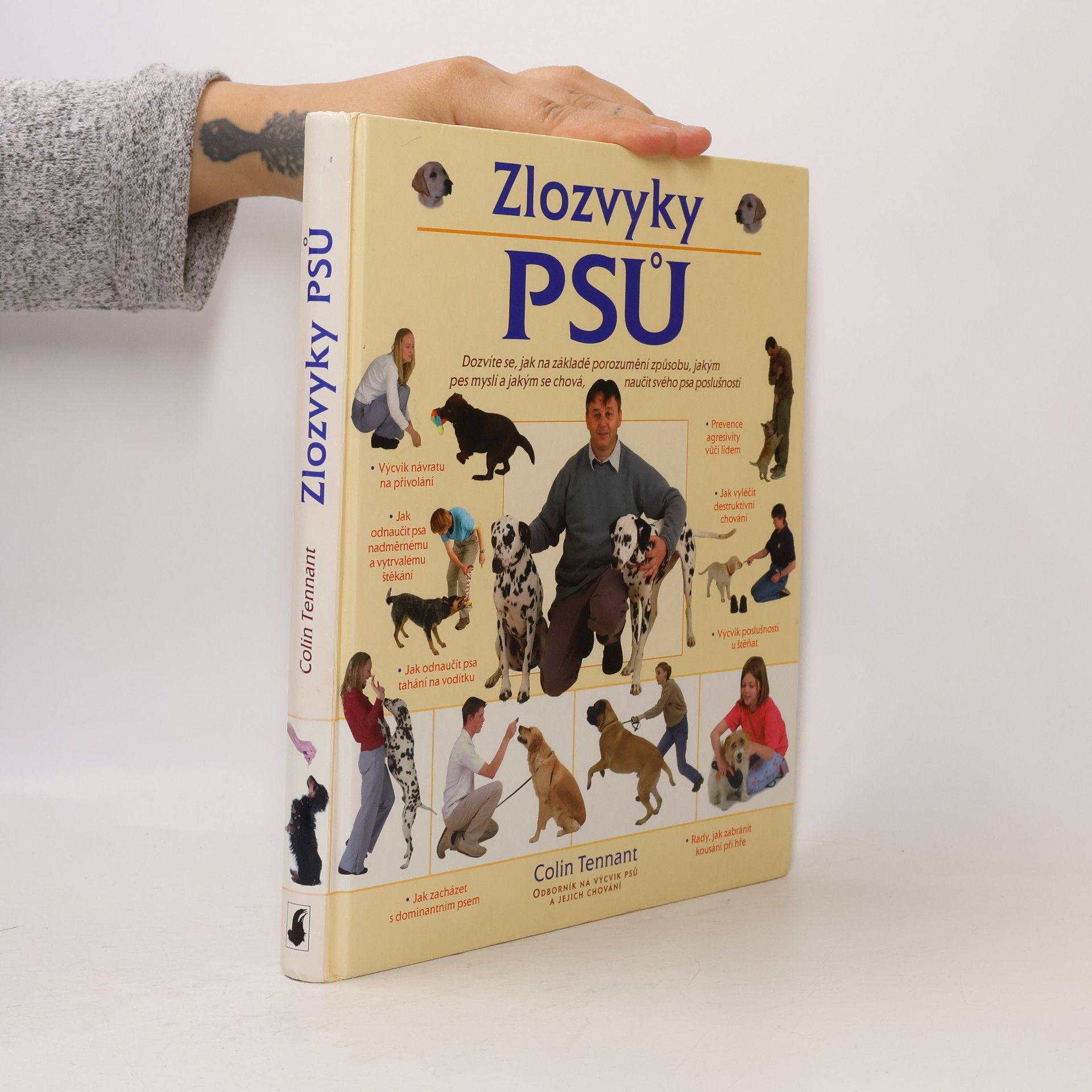 Zlozvyky psů