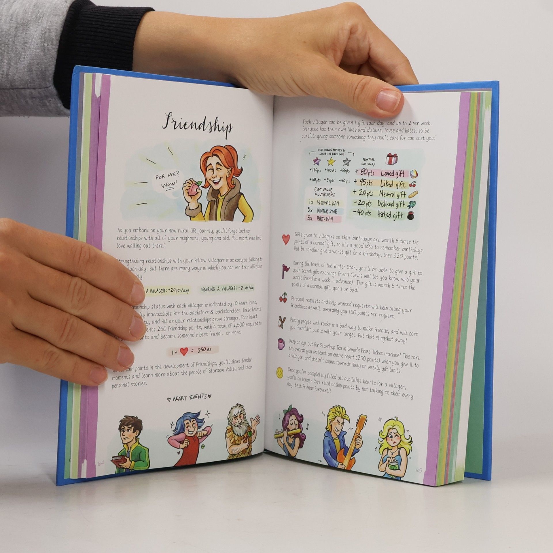 Kari Fry Stardew Valley Guidebook