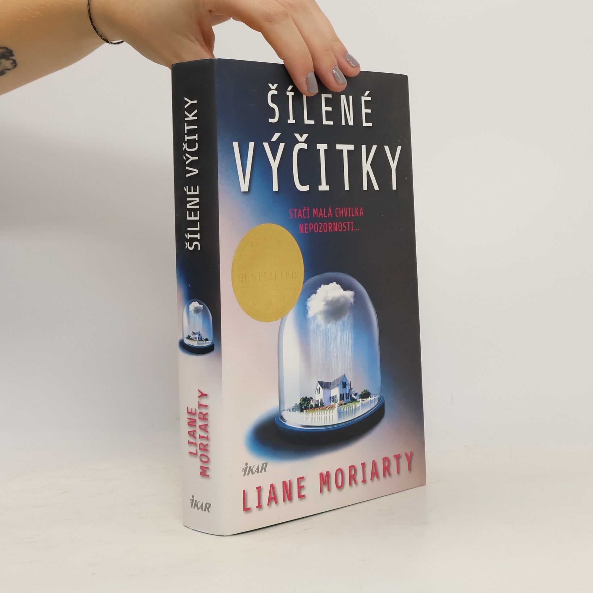 Liane Moriarty Šílené výčitky