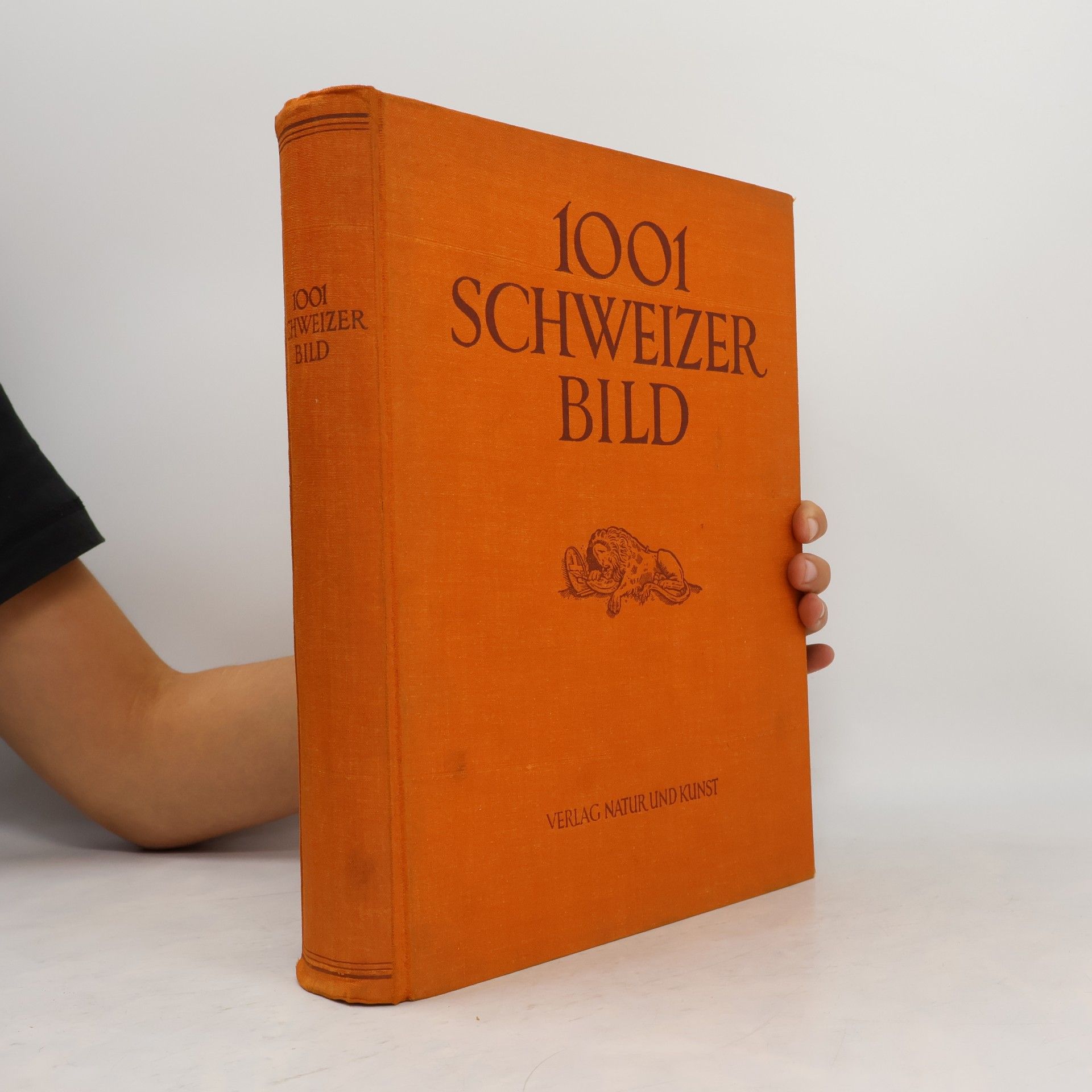 1001 SCHWEIZER BILD