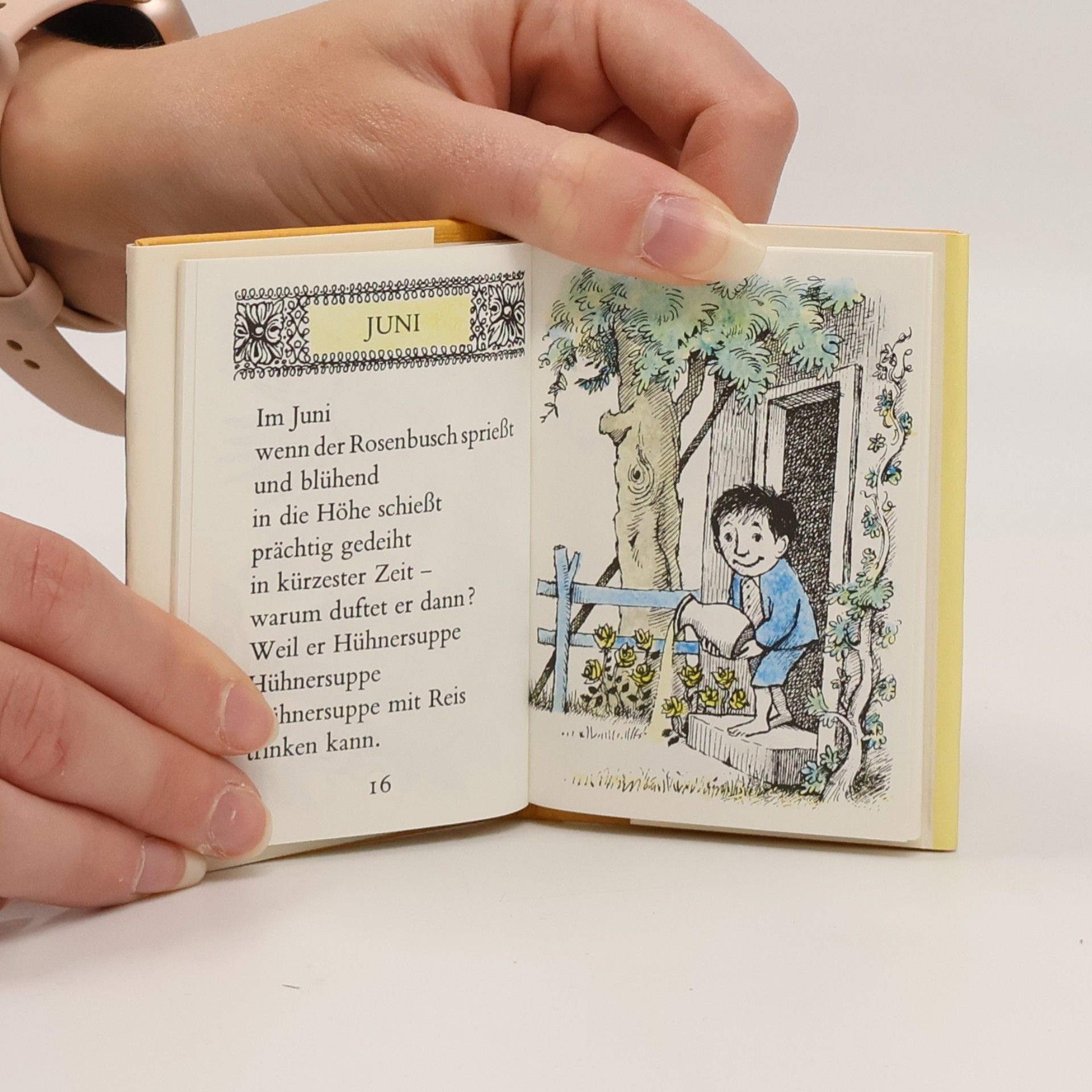 Maurice Sendak Die Minibibliothek