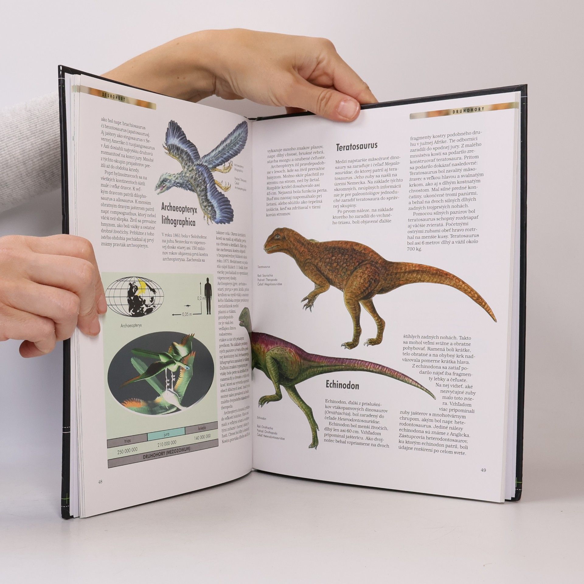 Collectif d'auteurs Dinosaury