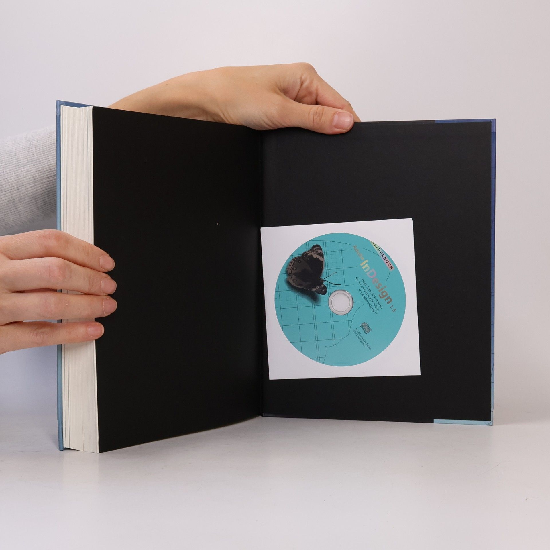 Karl-Heinz Rzehak Insiderbuch: InDesign 1.5