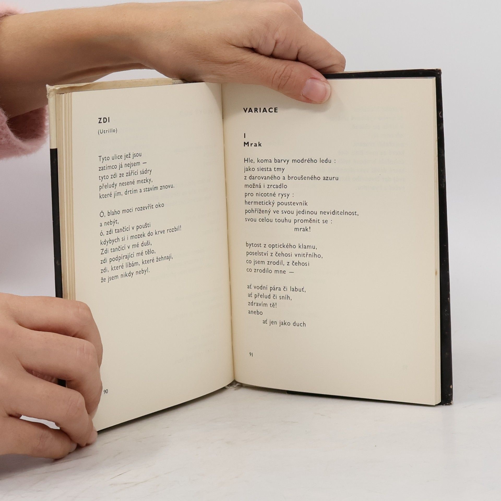 Erik Lindegren Muž bez cesty : výbor z poezie