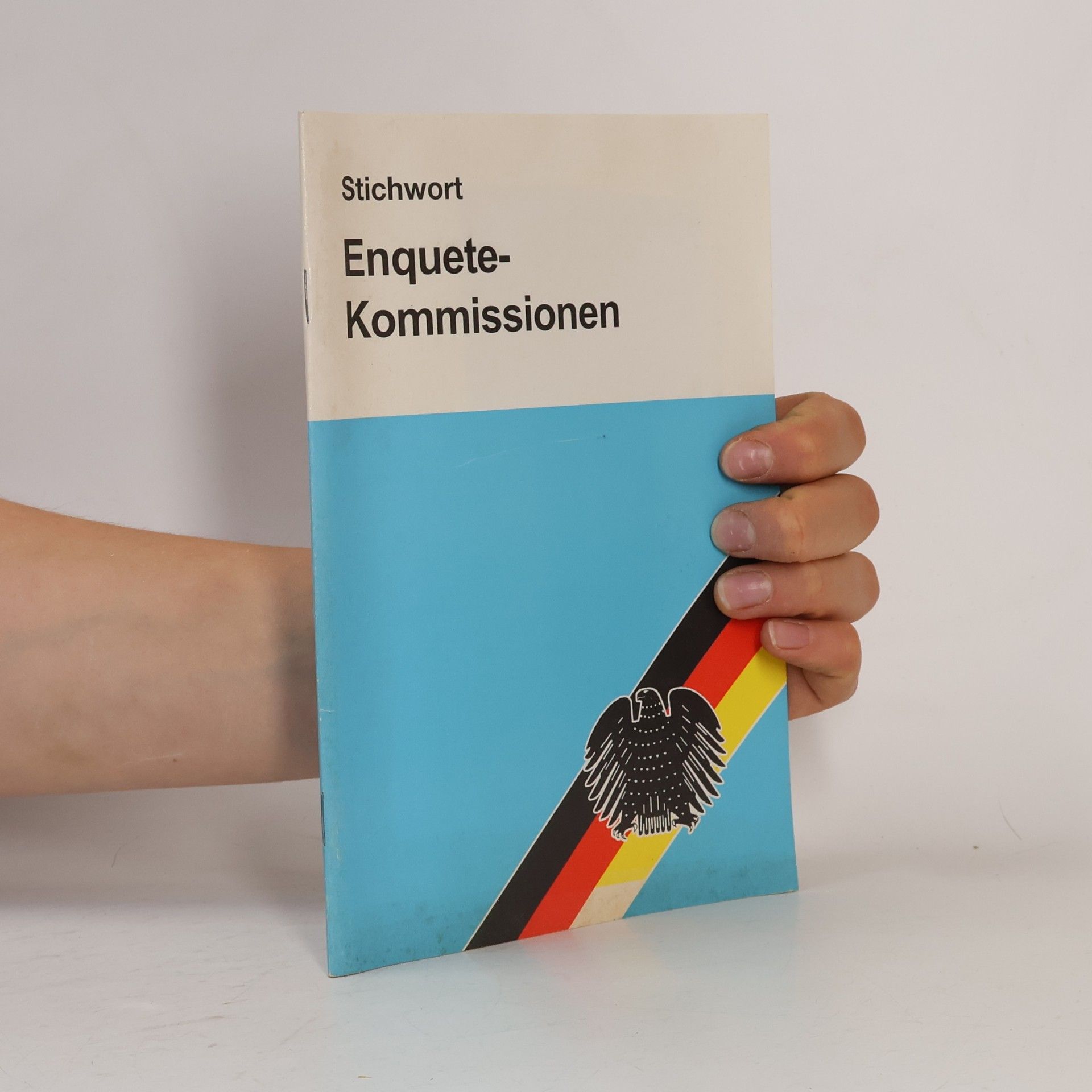 Stephan Liening Enquete-Kommissionen