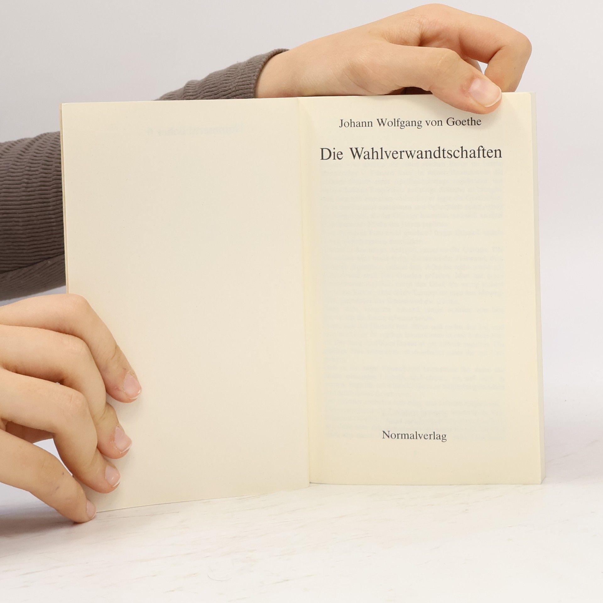 Johann Wolfgang von Goethe Nummernbücher 6