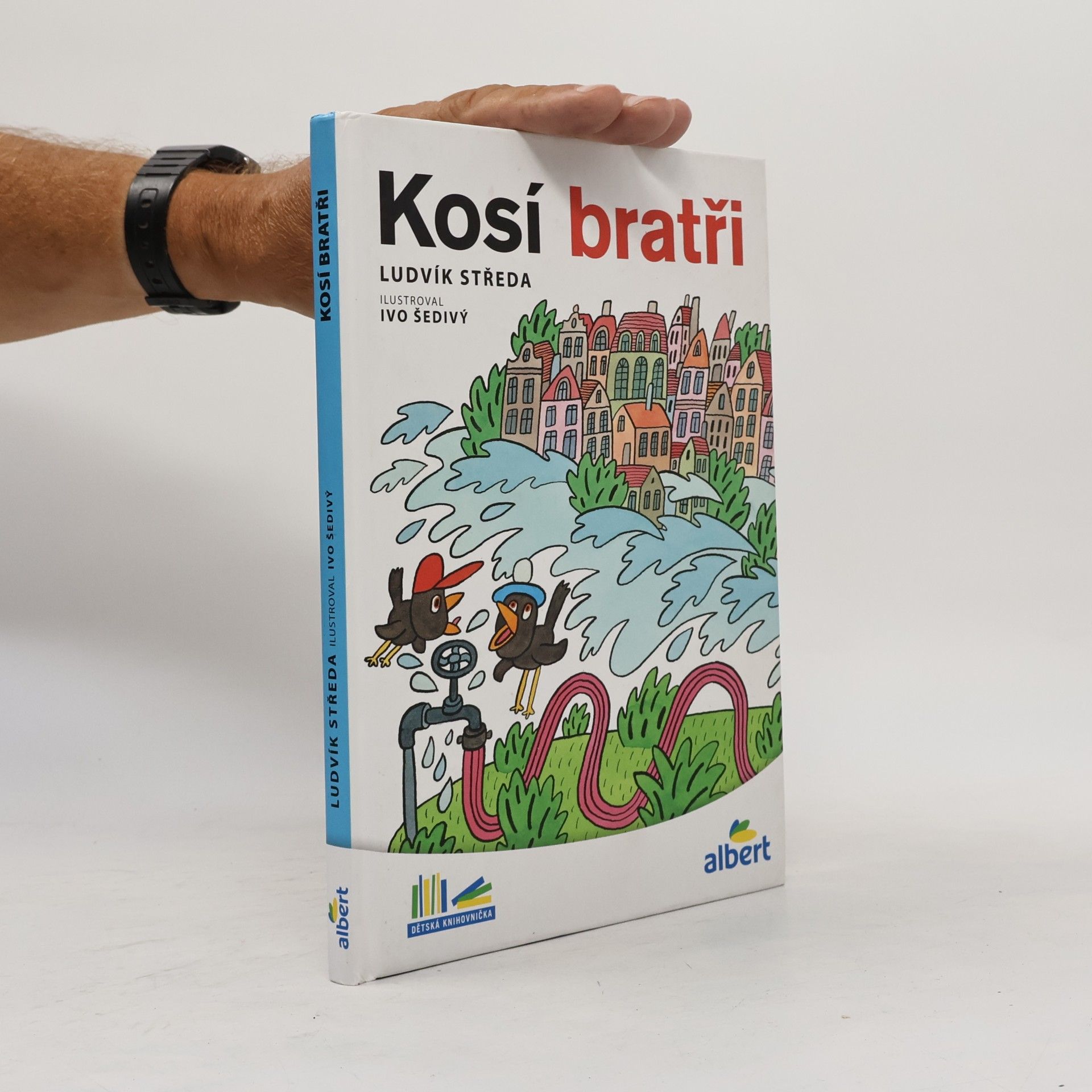 Ludvík Středa Kosí bratři