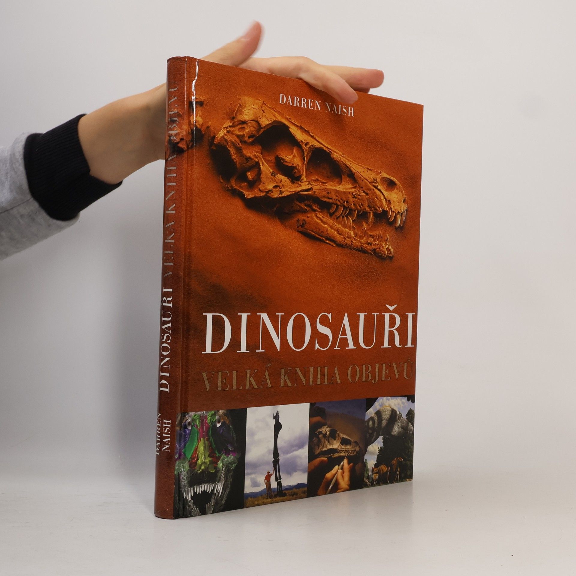 Darren Naish Dinosauři: Velká kniha objevů