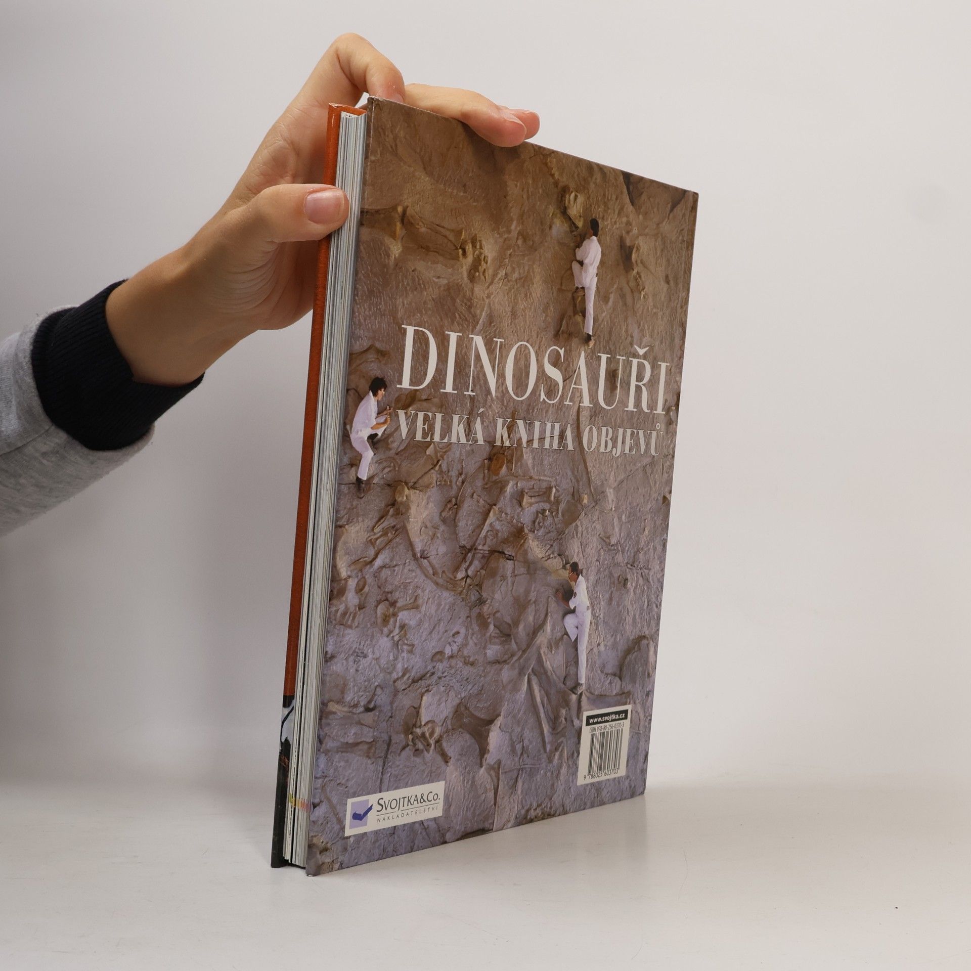 Darren Naish Dinosauři: Velká kniha objevů