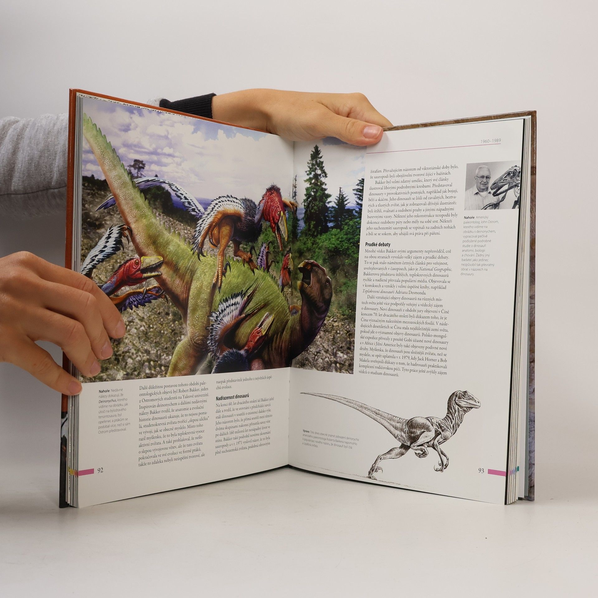 Darren Naish Dinosauři: Velká kniha objevů