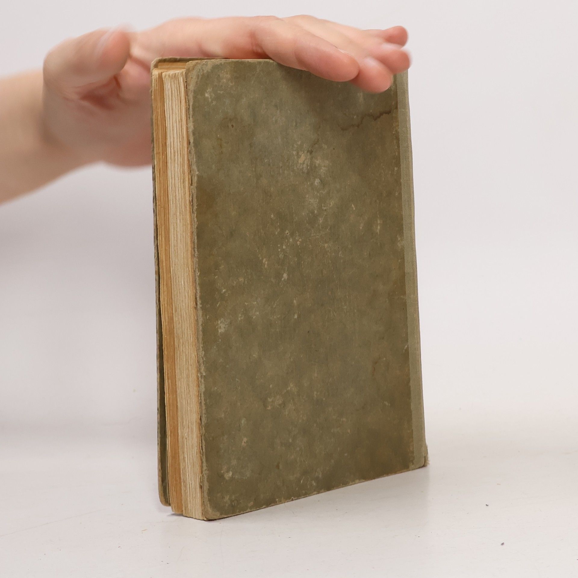 Ludwig Klein Gift- und Speisepilze und ihre Verwechslungen