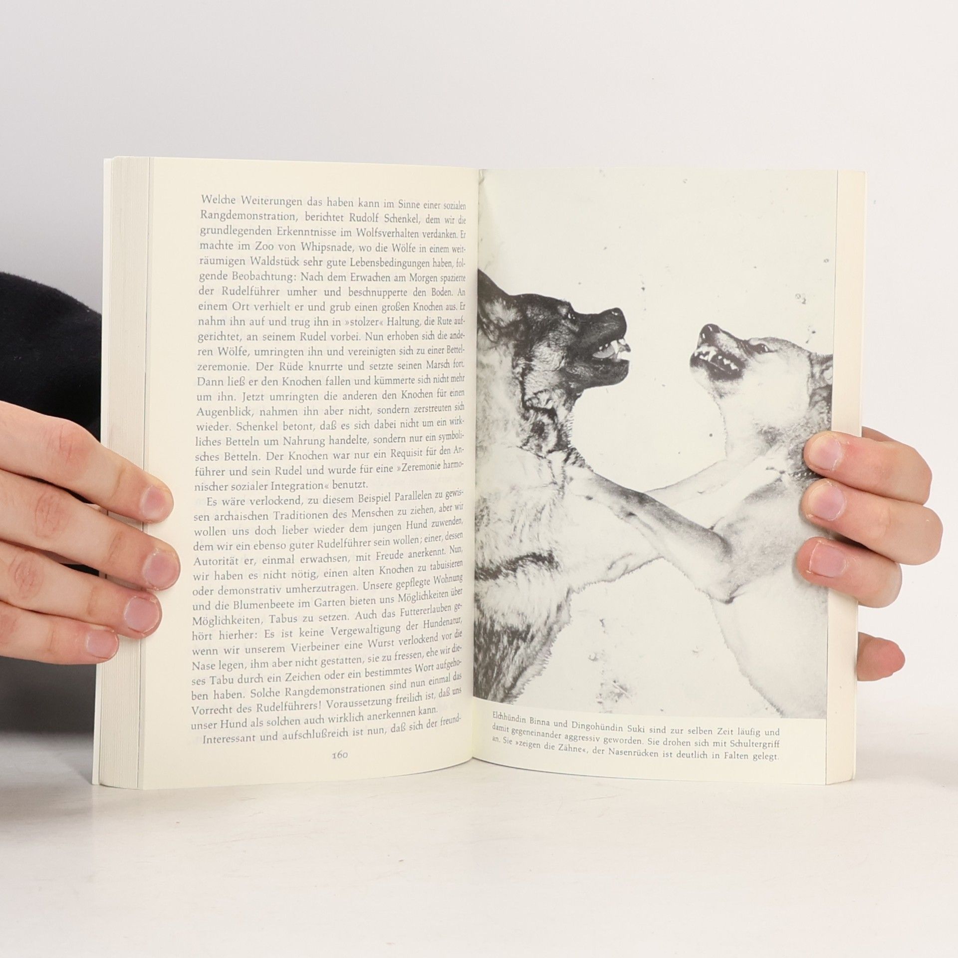 Eberhard Trumler Mit dem Hund auf du