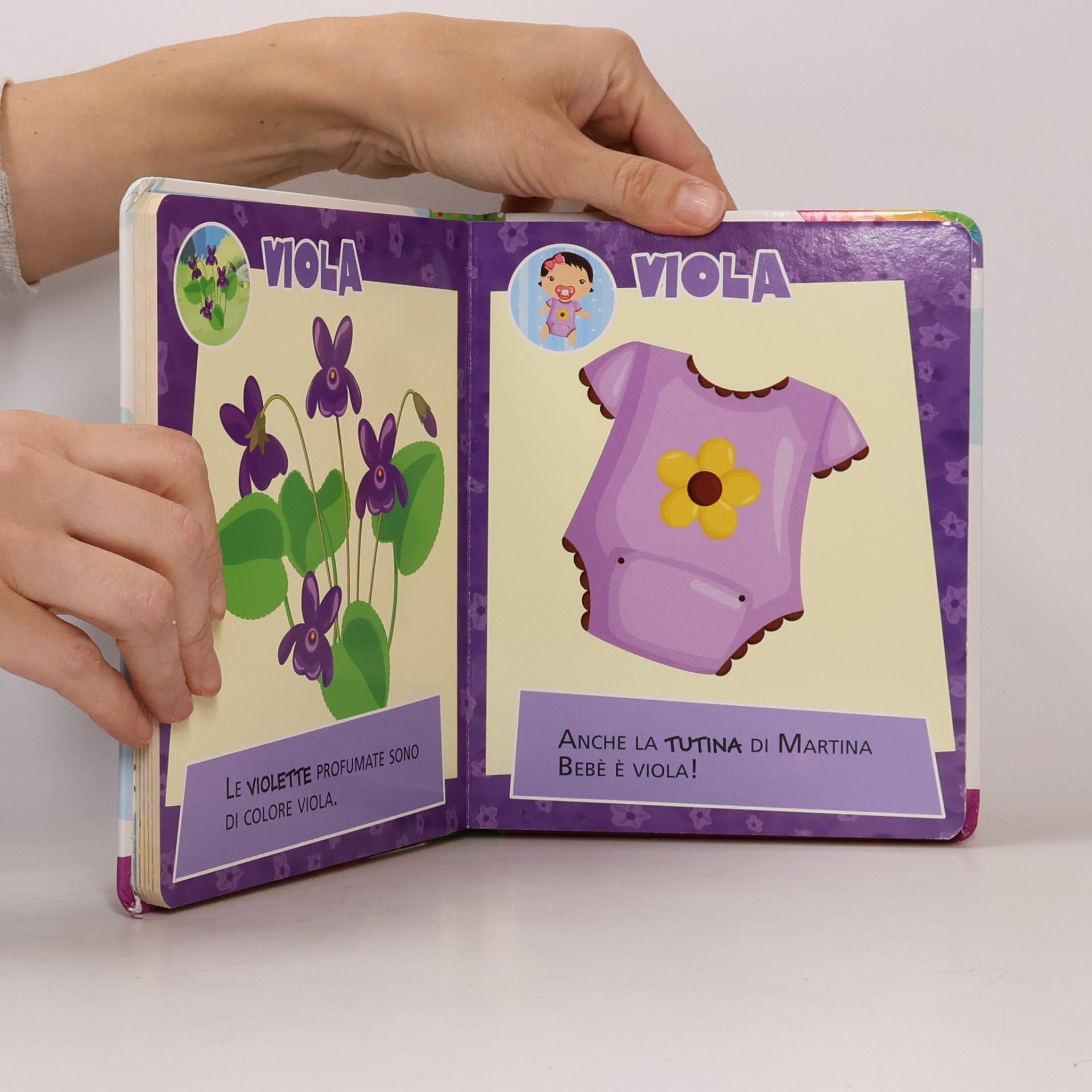 Le Finestrelle: I colori
