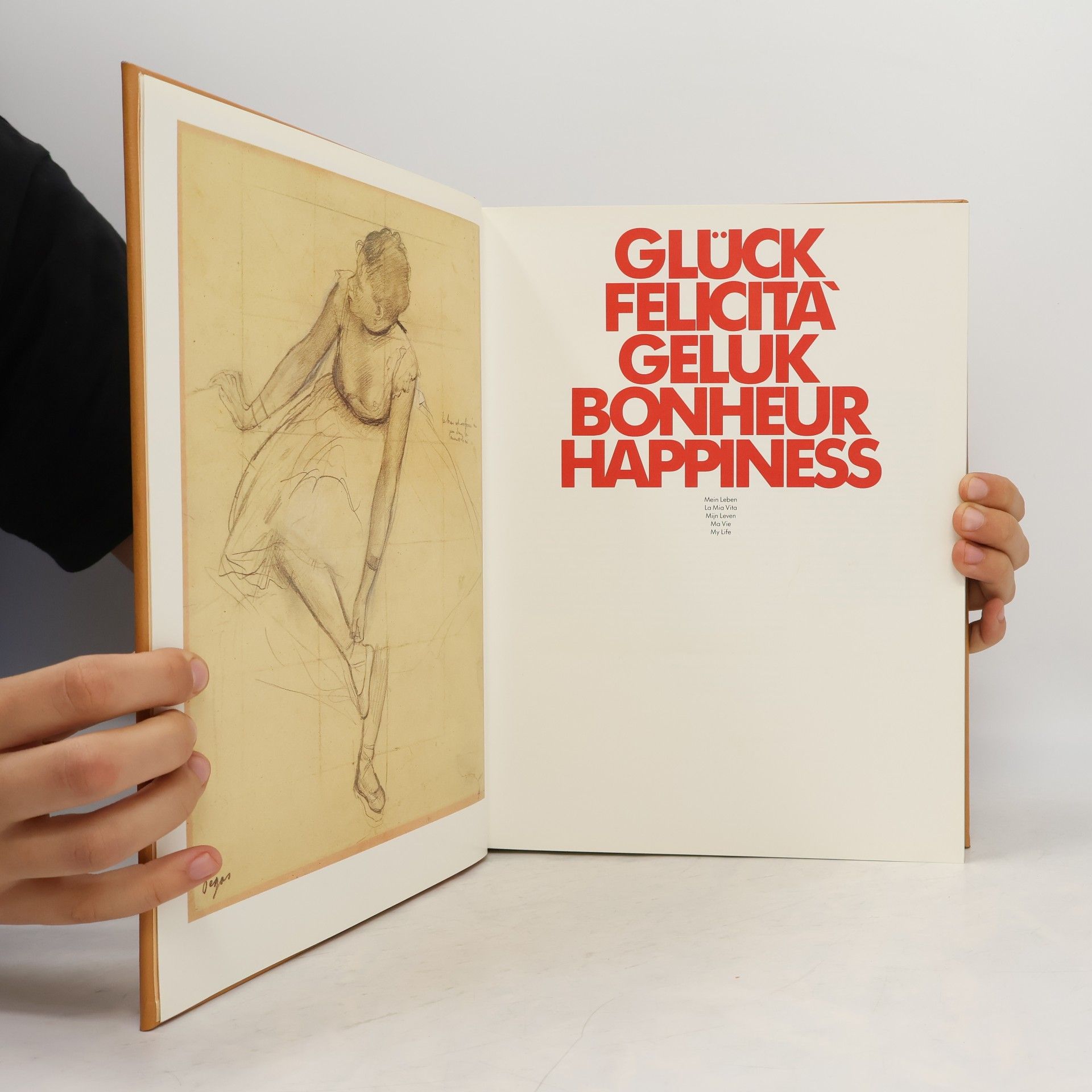 Autorenkollektiv Glück. Felicità. Geluk. Bonheur. Happiness