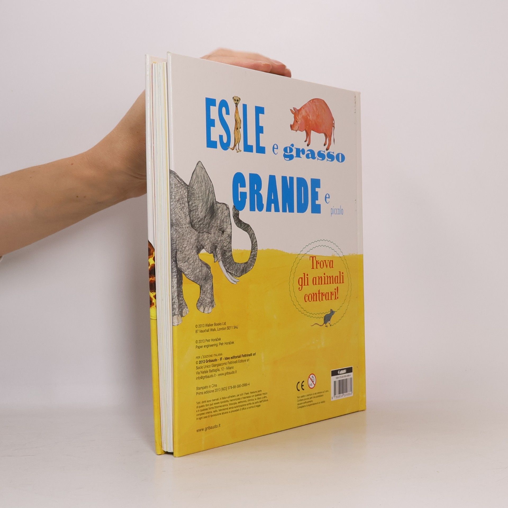 Petr Horác̆ek Libri pop-up: Animali contrari. Libro pop-up. Ediz. illustrata