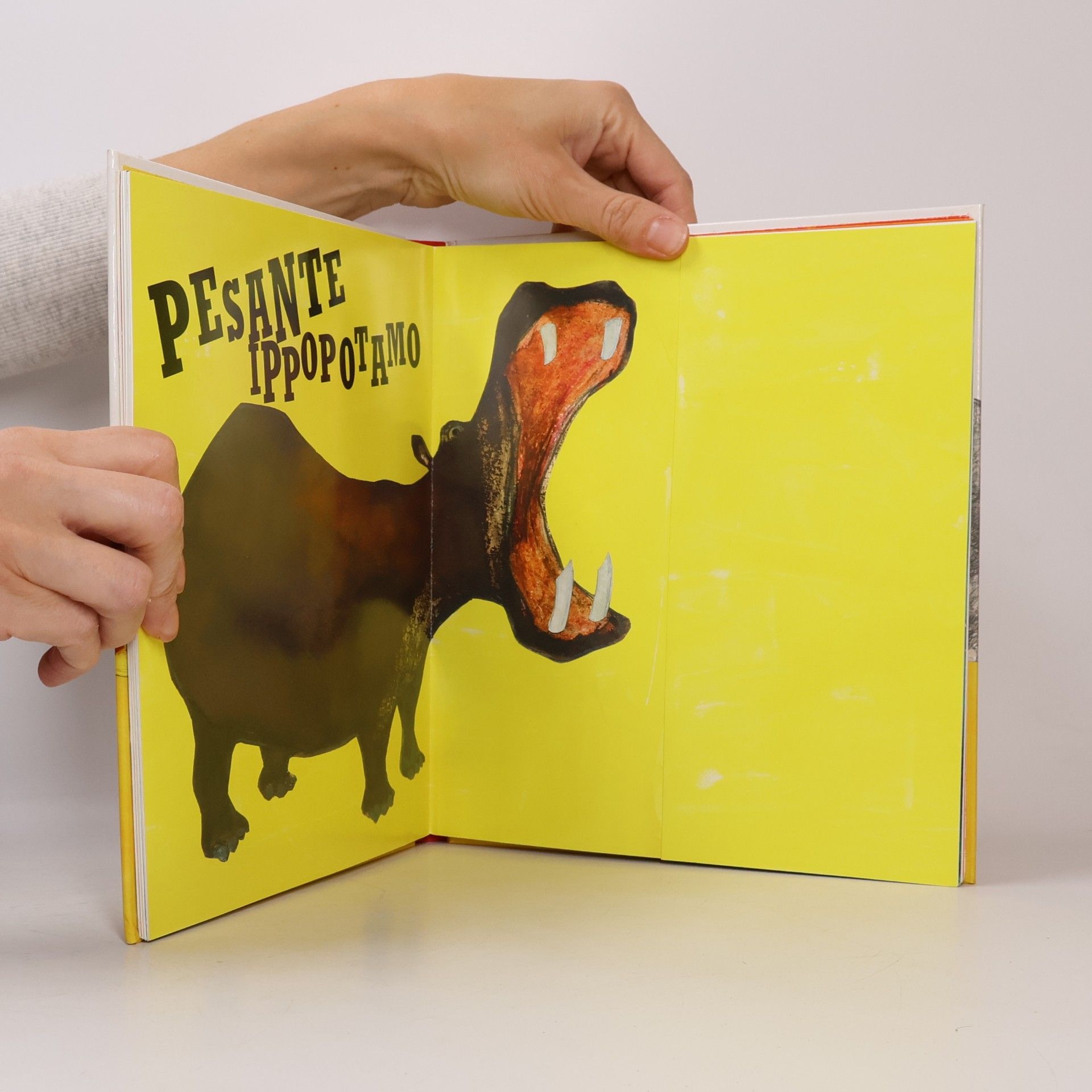 Petr Horác̆ek Libri pop-up: Animali contrari. Libro pop-up. Ediz. illustrata
