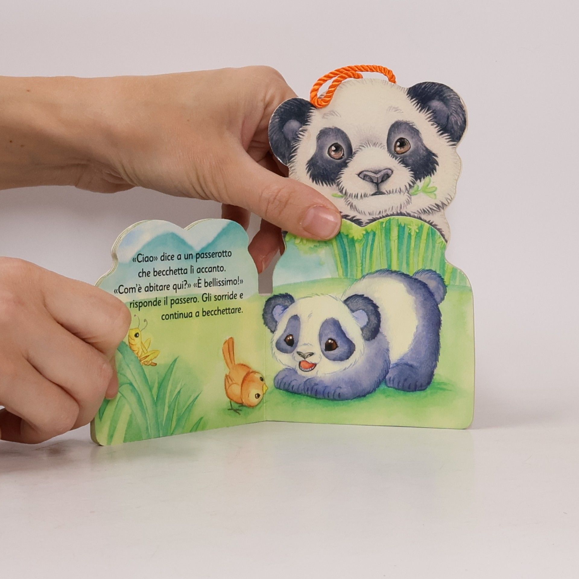 Gabriele Clima I Cucciolini: Il mio amico panda