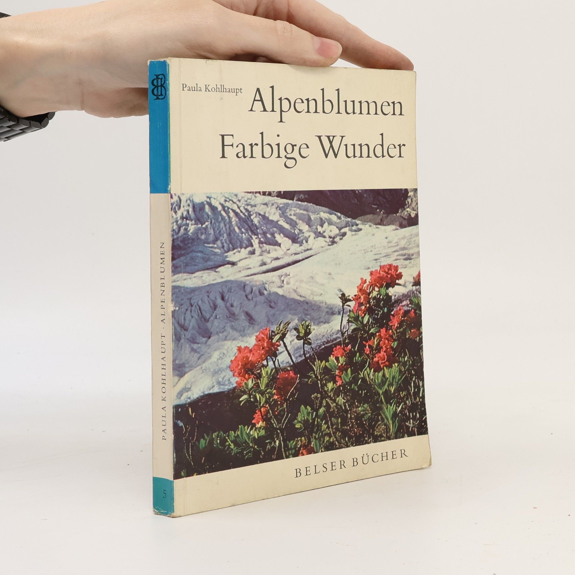 Paula Kohlhaupt Alpenblumen. Farbige Wunder 5