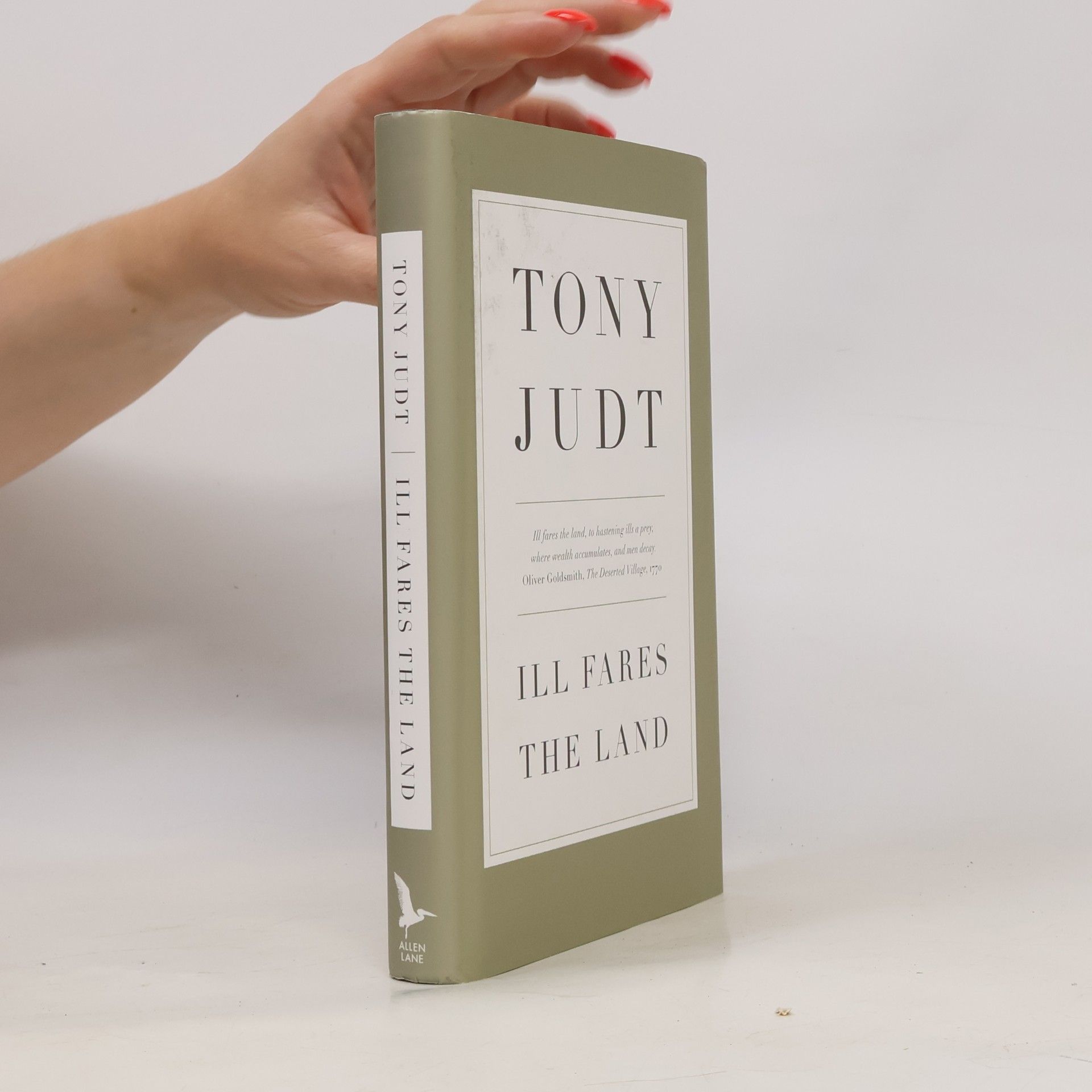Tony Judt Ill Fares the Land