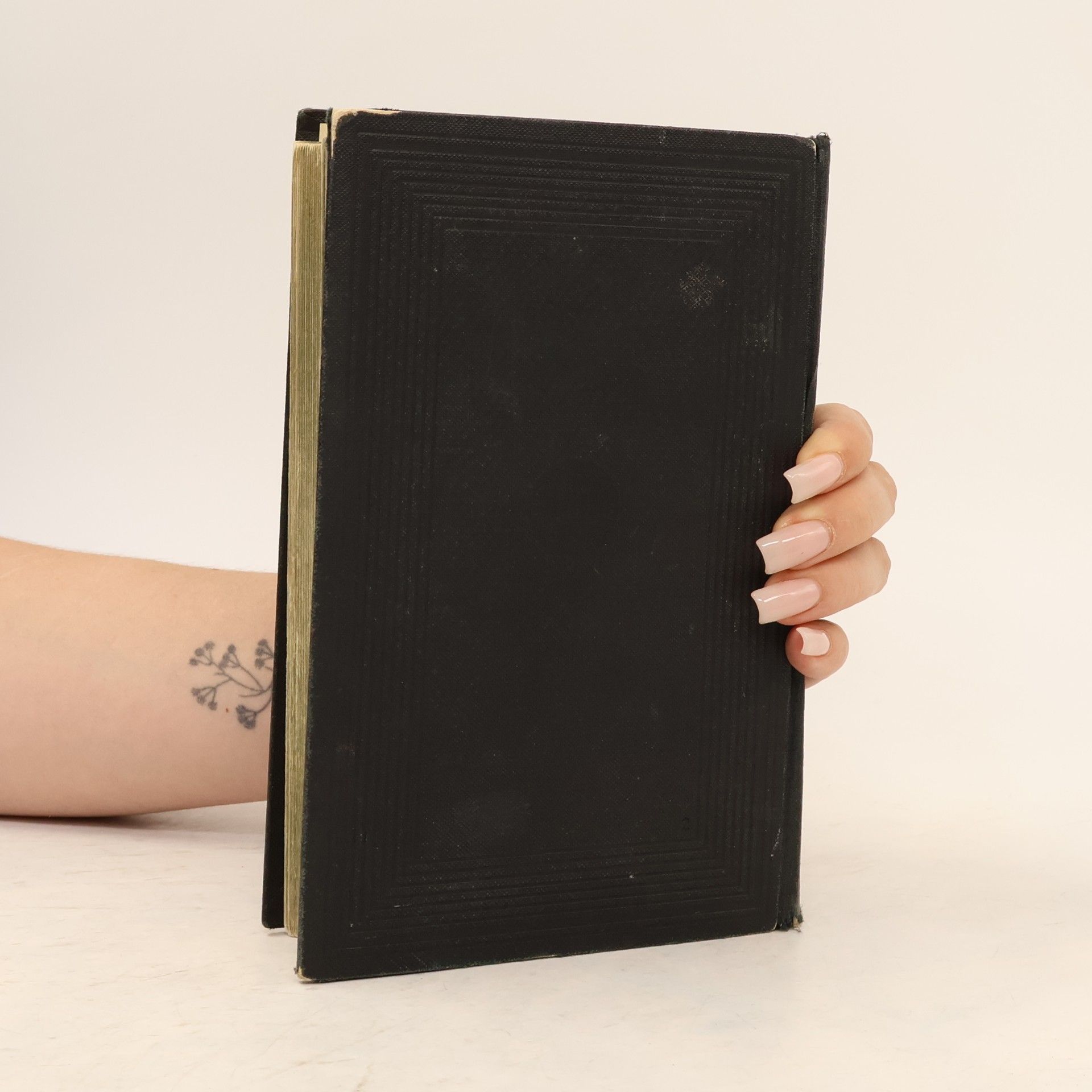 Martin Luther Die Bibel oder die ganze Heilige Schrift des Alten und Neuen Testaments nach der deutschen Übersetzung D. Martin Luthers