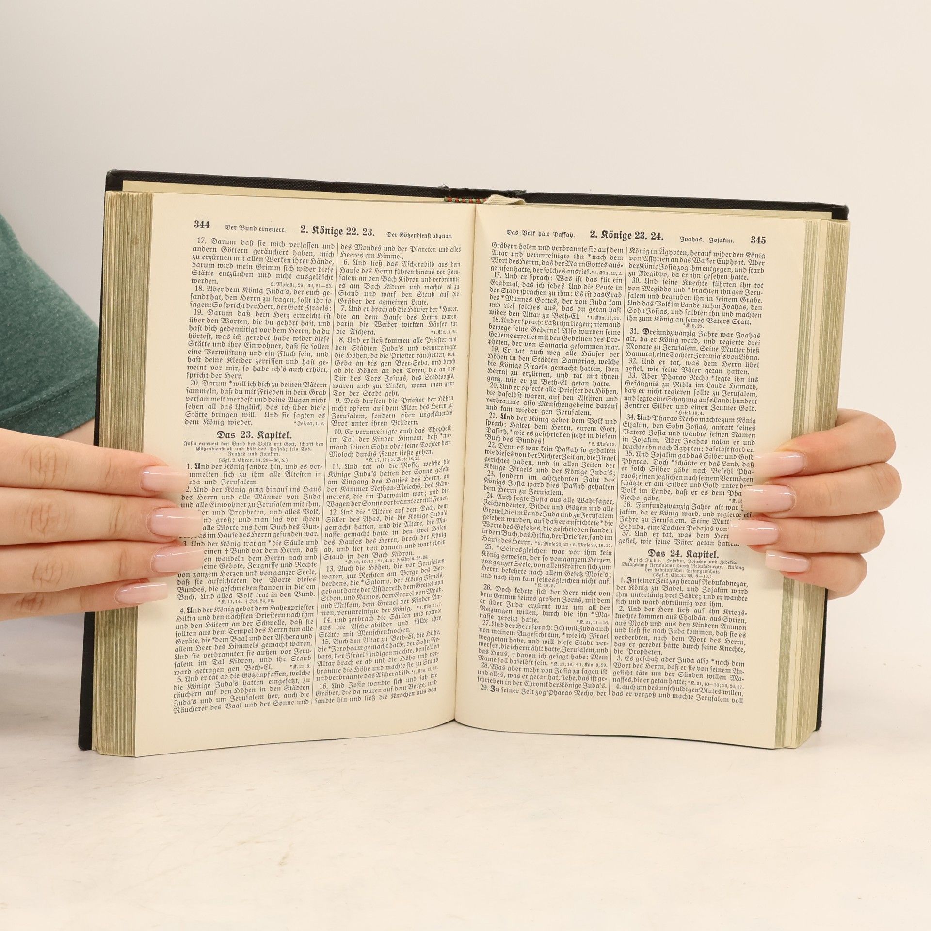 Martin Luther Die Bibel oder die ganze Heilige Schrift des Alten und Neuen Testaments nach der deutschen Übersetzung D. Martin Luthers