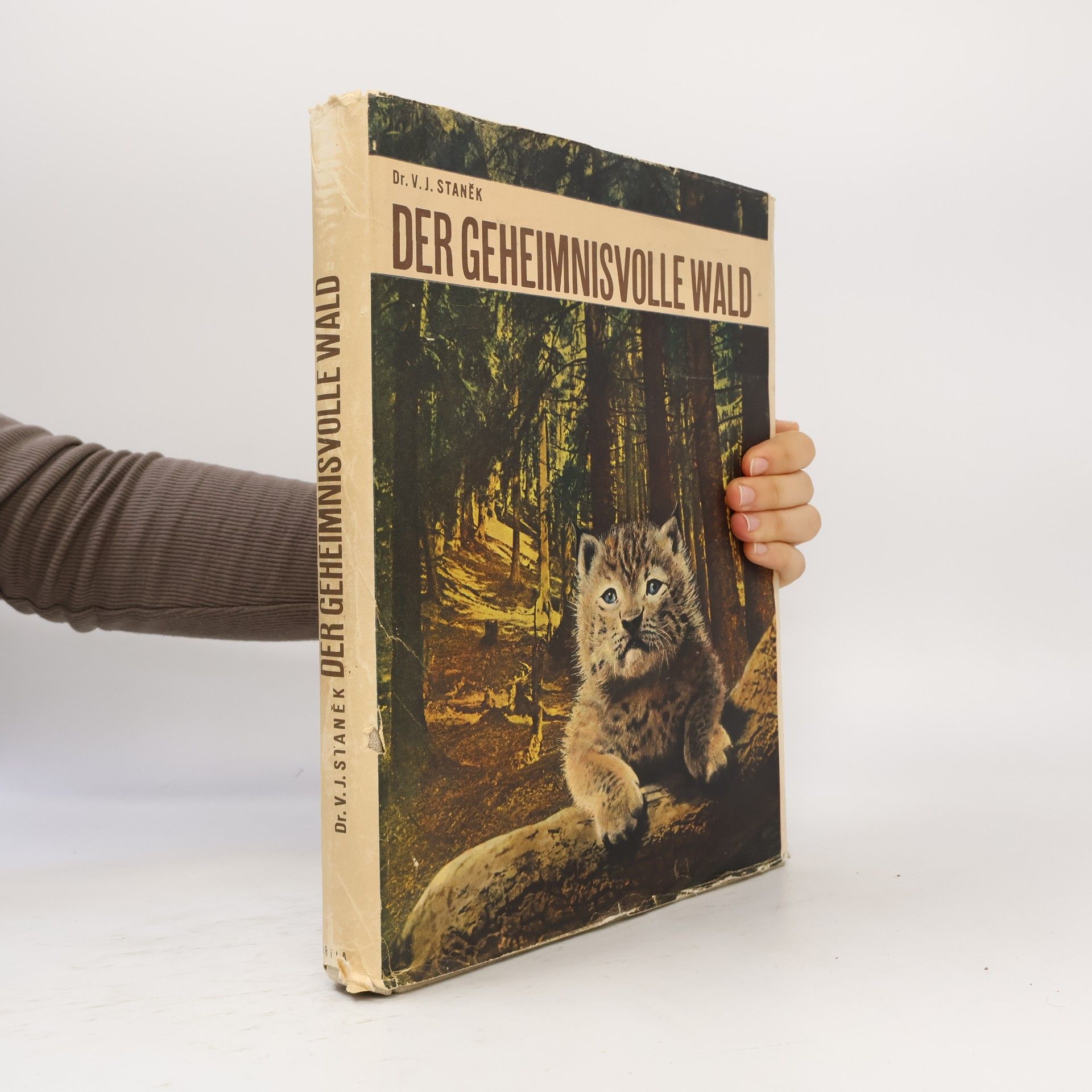 Václav Jan Staněk Der geheimnisvolle Wald