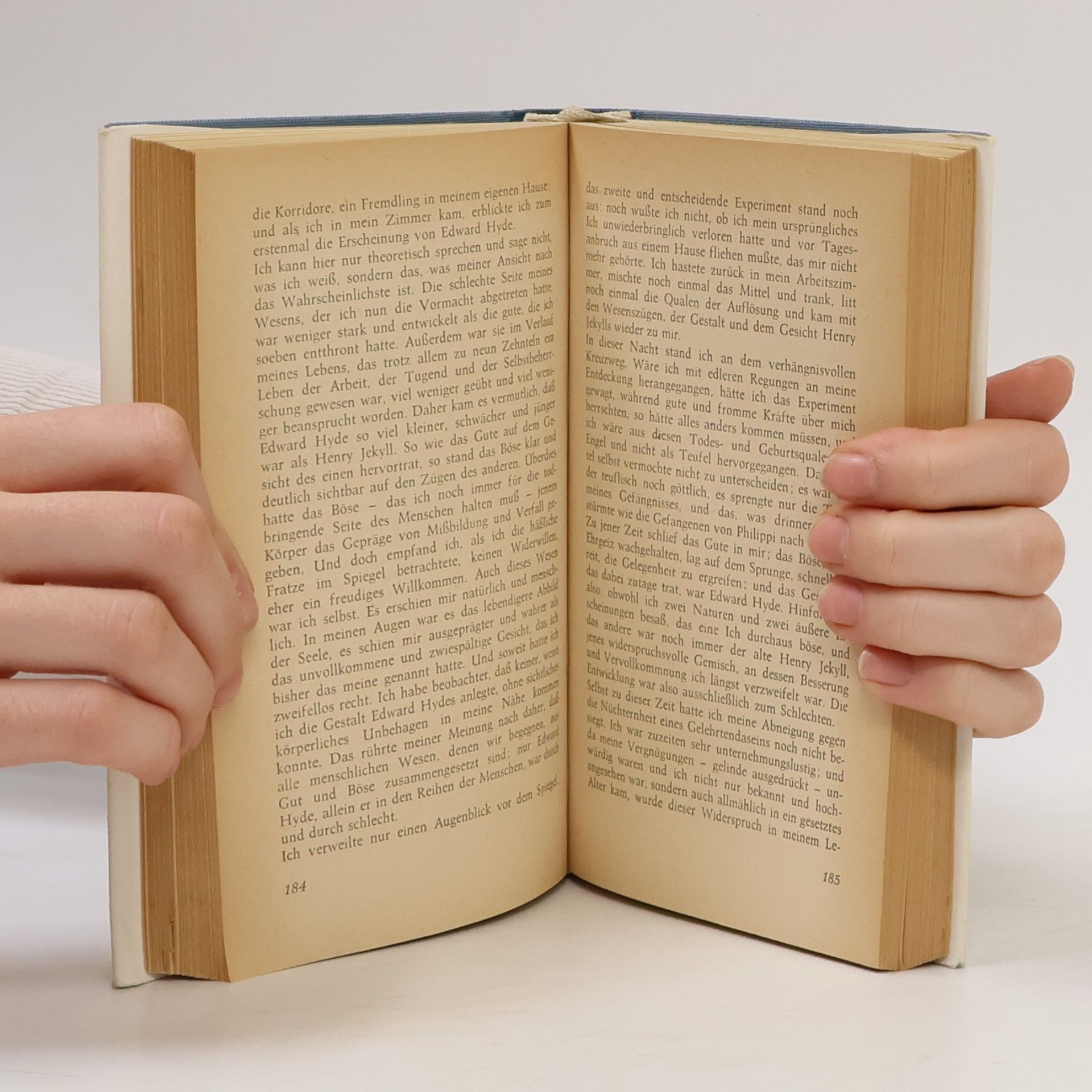Robert Louis Stevenson Das rätselvolle Leben