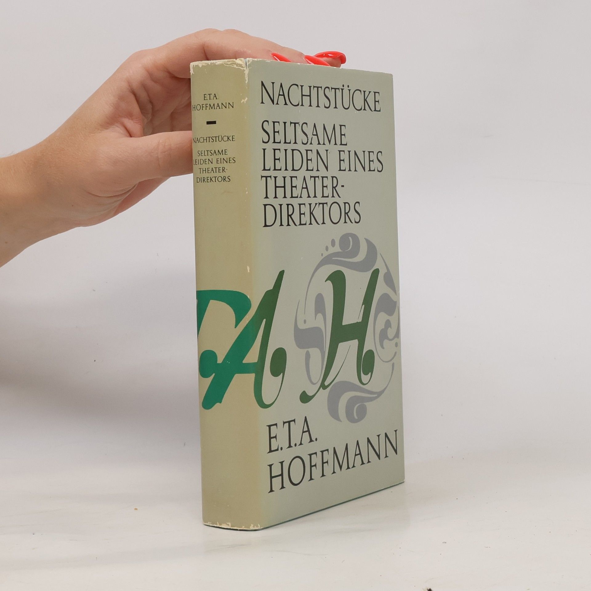 Rudolf Mingau Nachtstücke / Seltsame Leiden eines Theater-Direktors