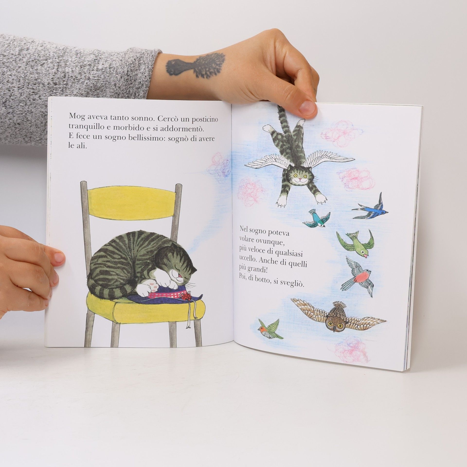 Judith Kerr Oscar Mini: Mog, la gatta distratta