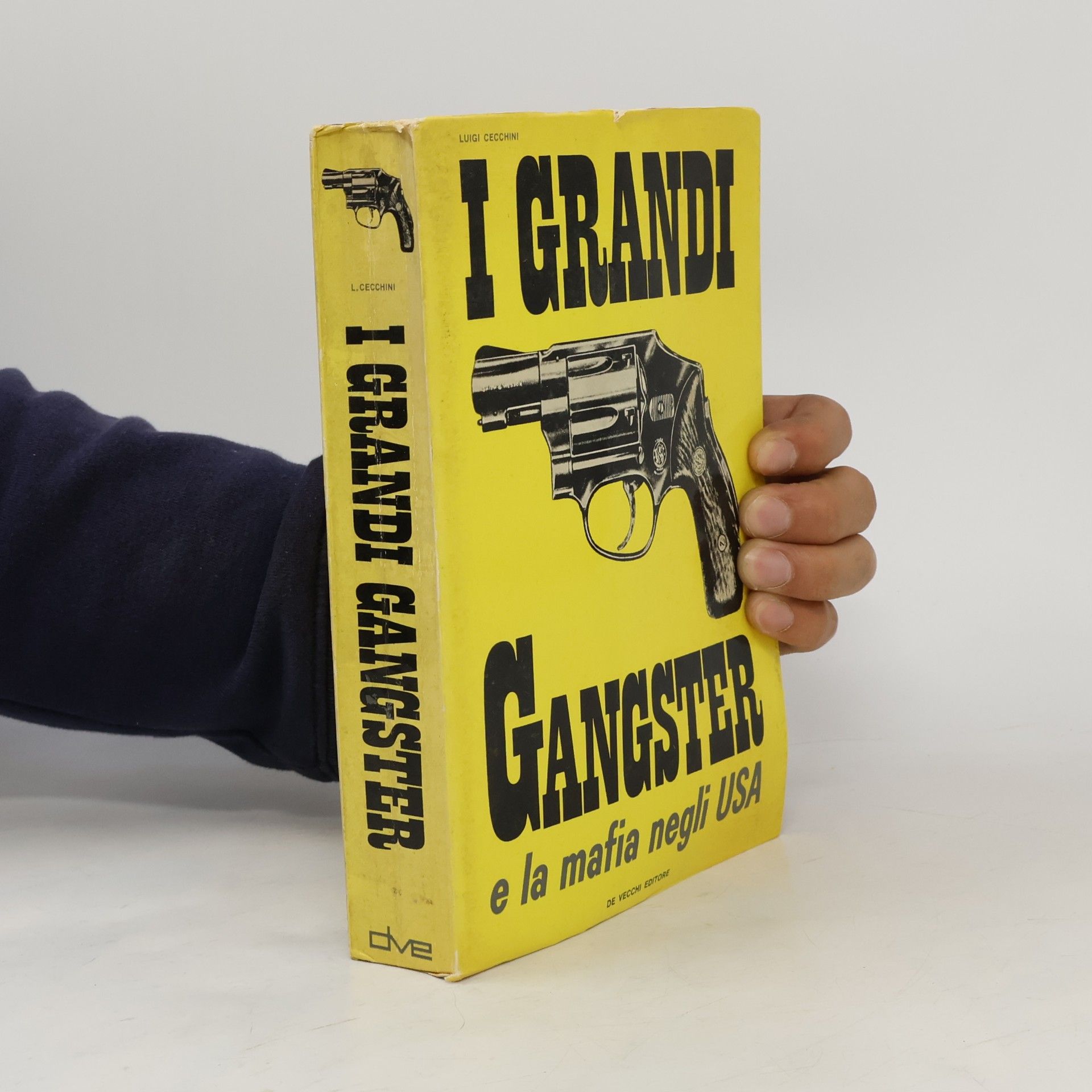 Luigi Cecchini I grandi gangster e la mafia negli USA