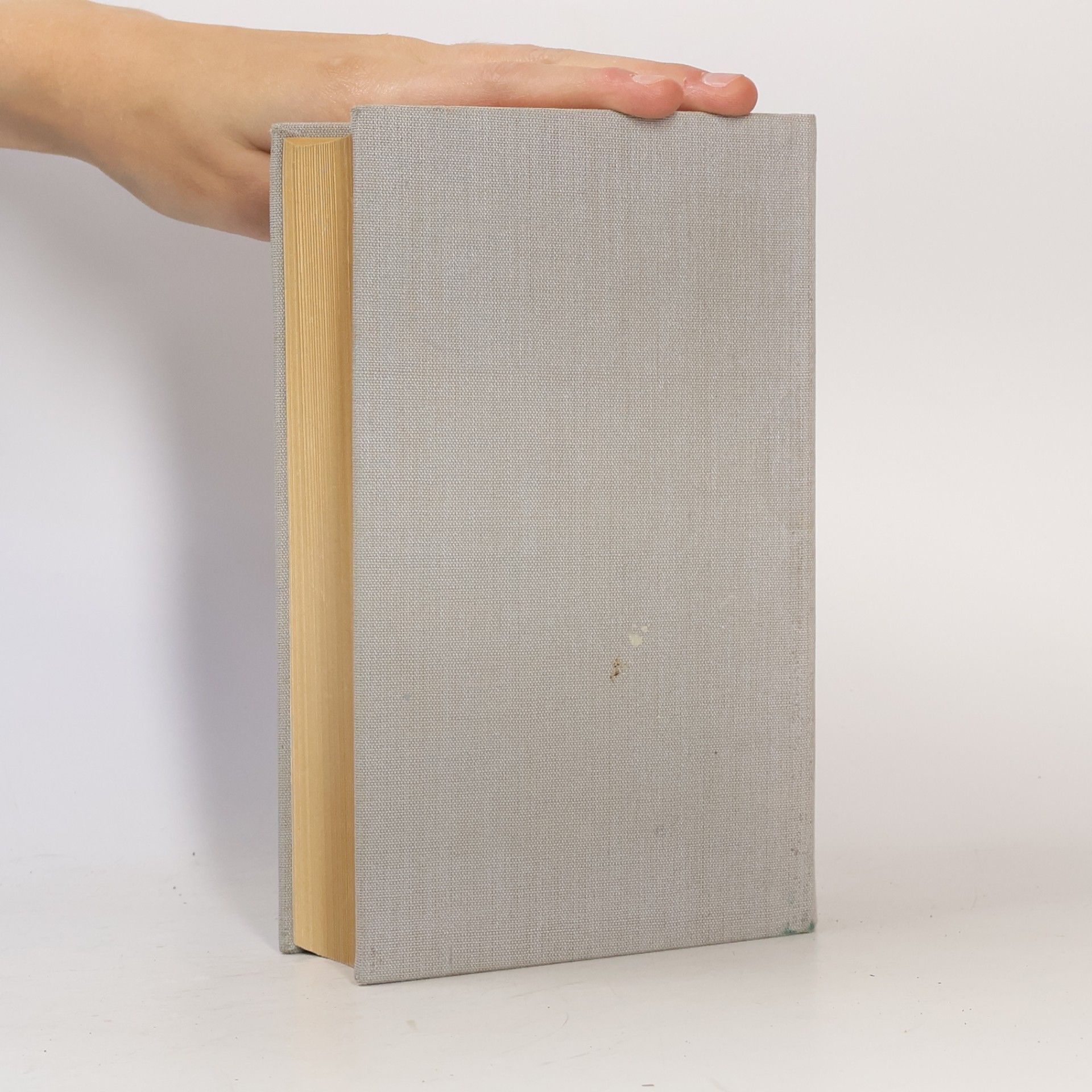 Autorenkollektiv Kleines Politisches Wörterbuch