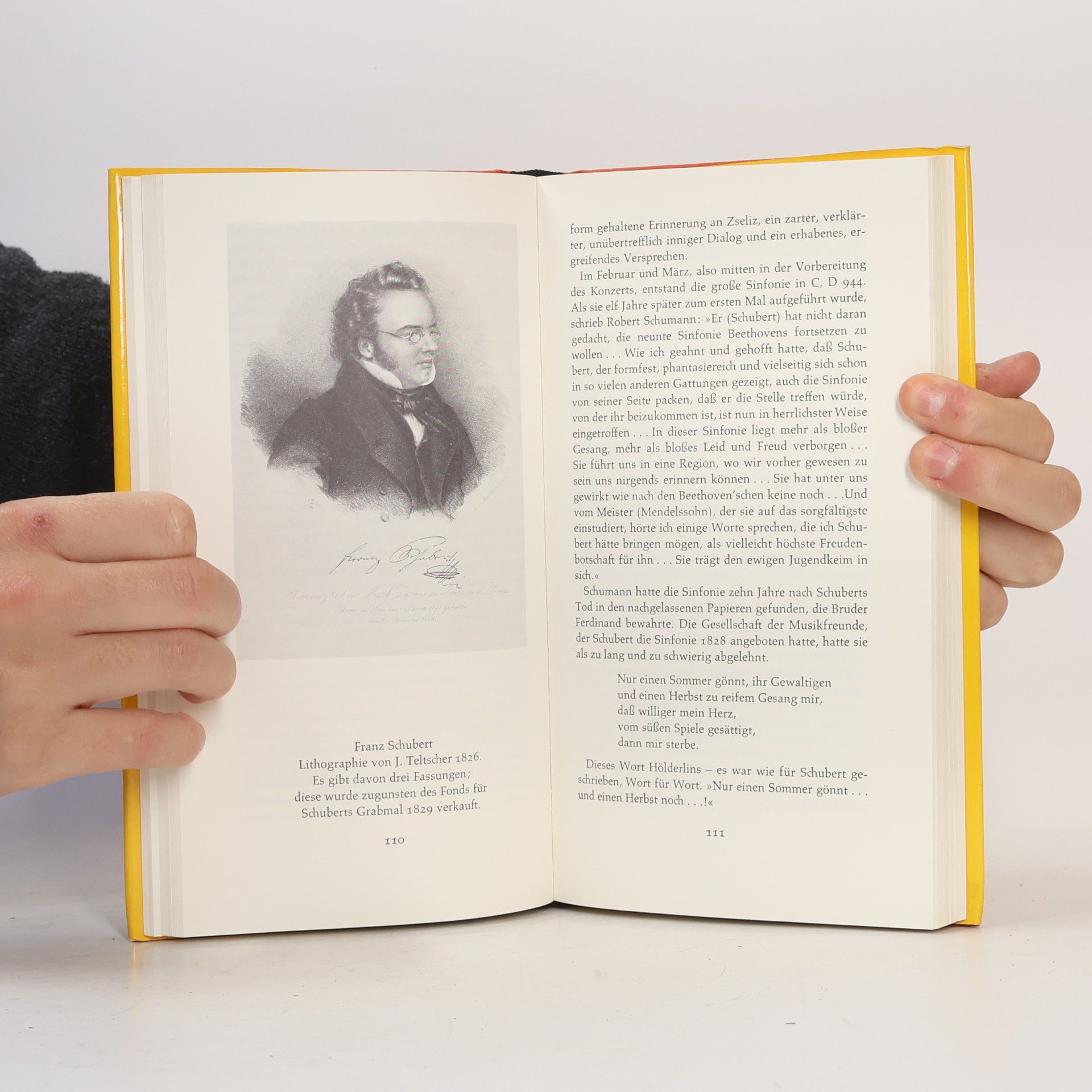 Horst Osterheld Franz Schubert. Schicksal und Persönlichkeit