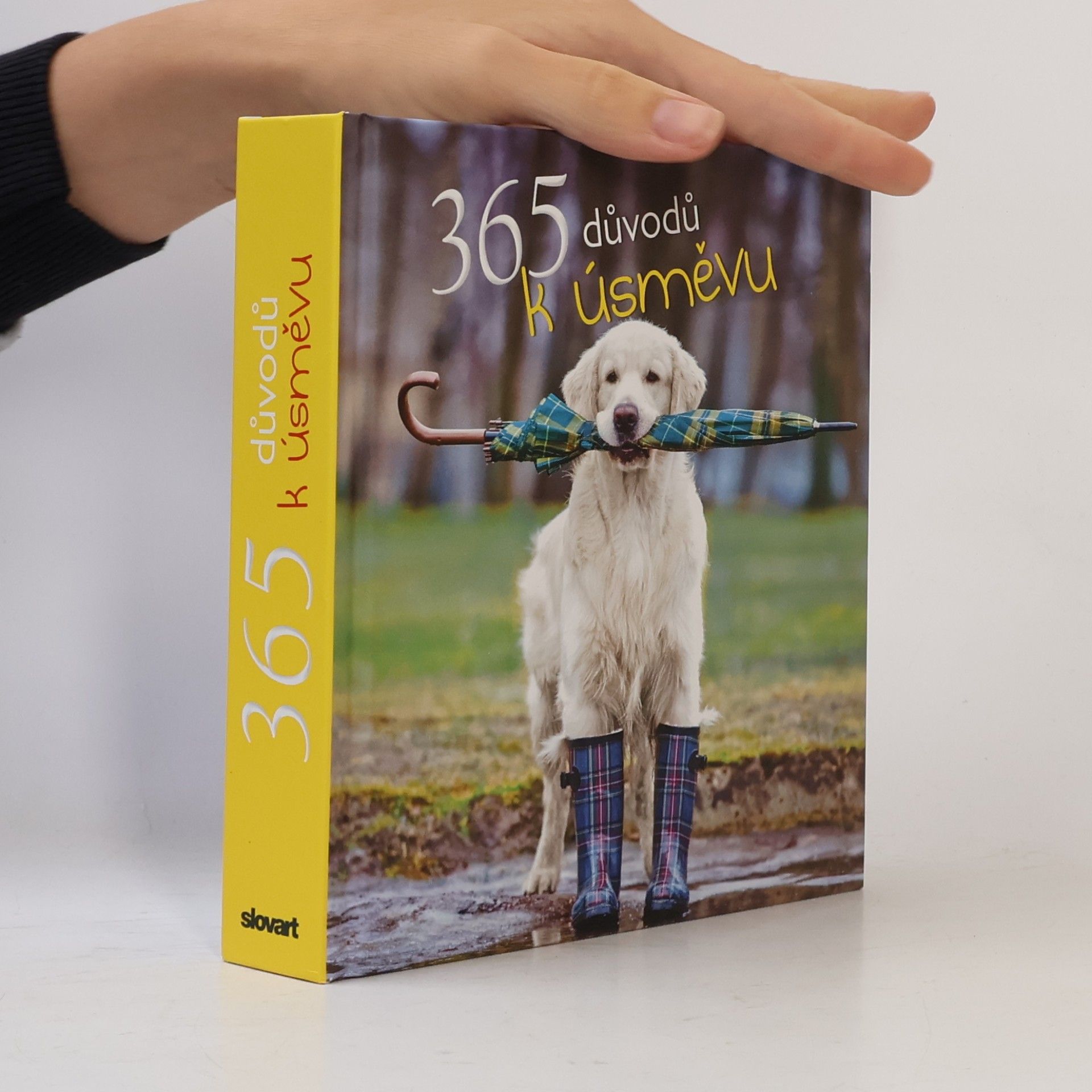 365 důvodů k úsměvu